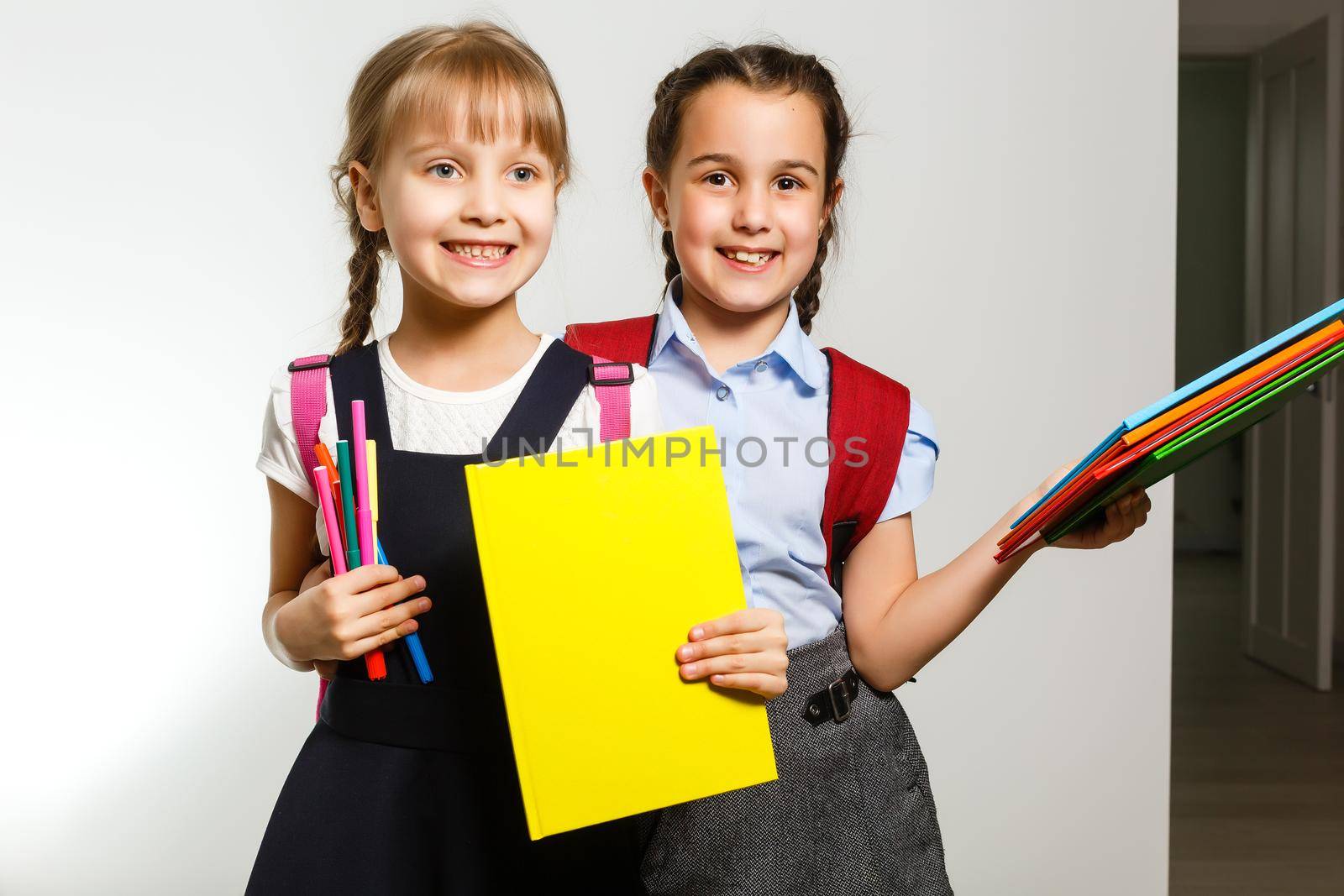 Portrait of two people nice cute lovely charming dreamy attractive cheerful pre-teen girls siblings showing aside ad promotion copy space isolated background