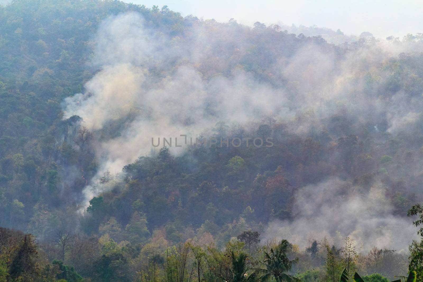 wildfire on mountain in thailand