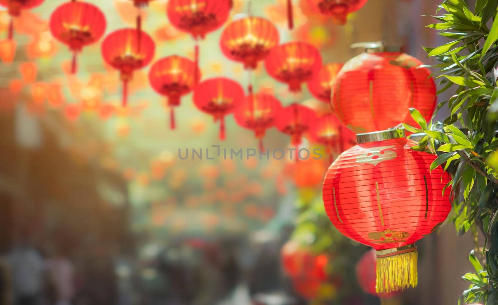 Chinese new year lanterns in chinatown by toa55