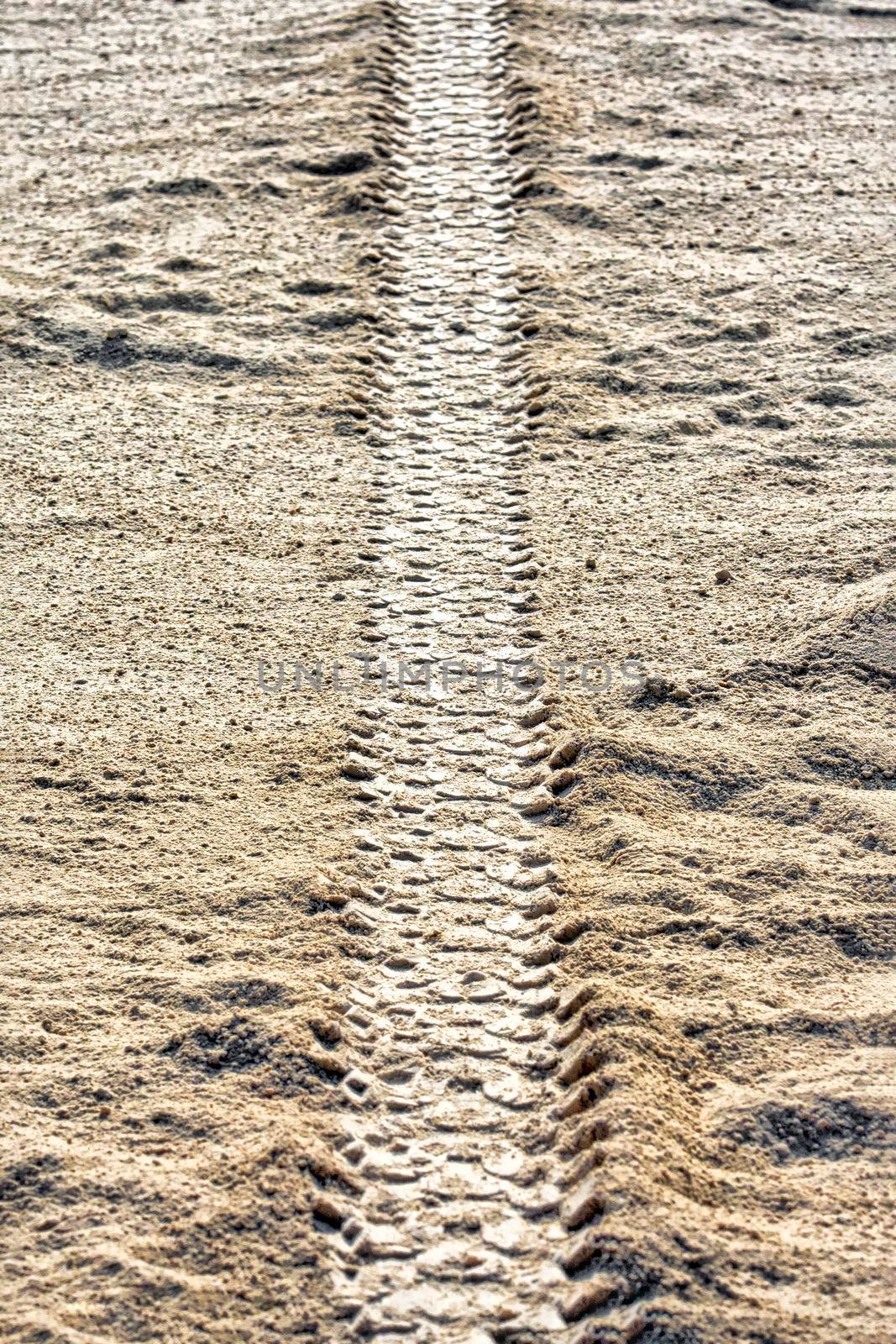 Tire tracks on dirt