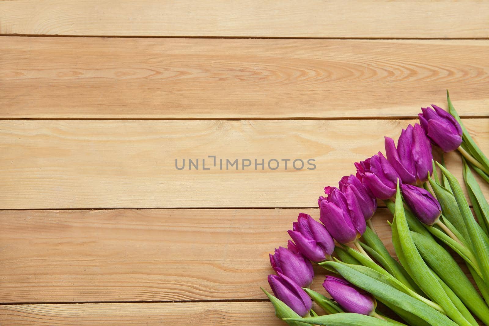 red Spring Tulip Flowers on wooden table. Blooming spring petals. Beautiful red Tulips in spring. Tulip flower with green leafs on wooden background. spring day for postcard