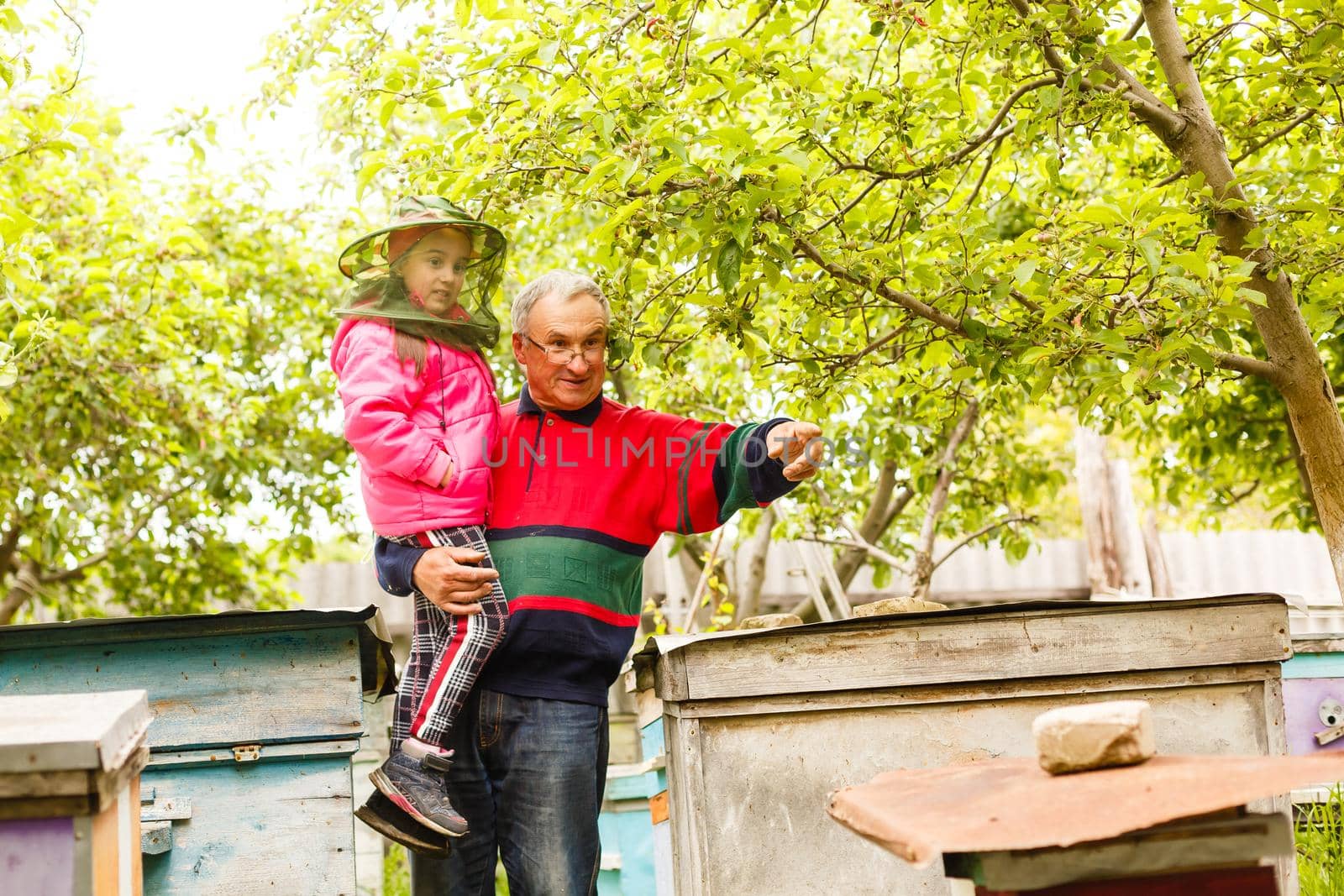 Experienced beekeeper grandfather teaches his granddaughter caring for bees. Apiculture. The concept of transfer of experience