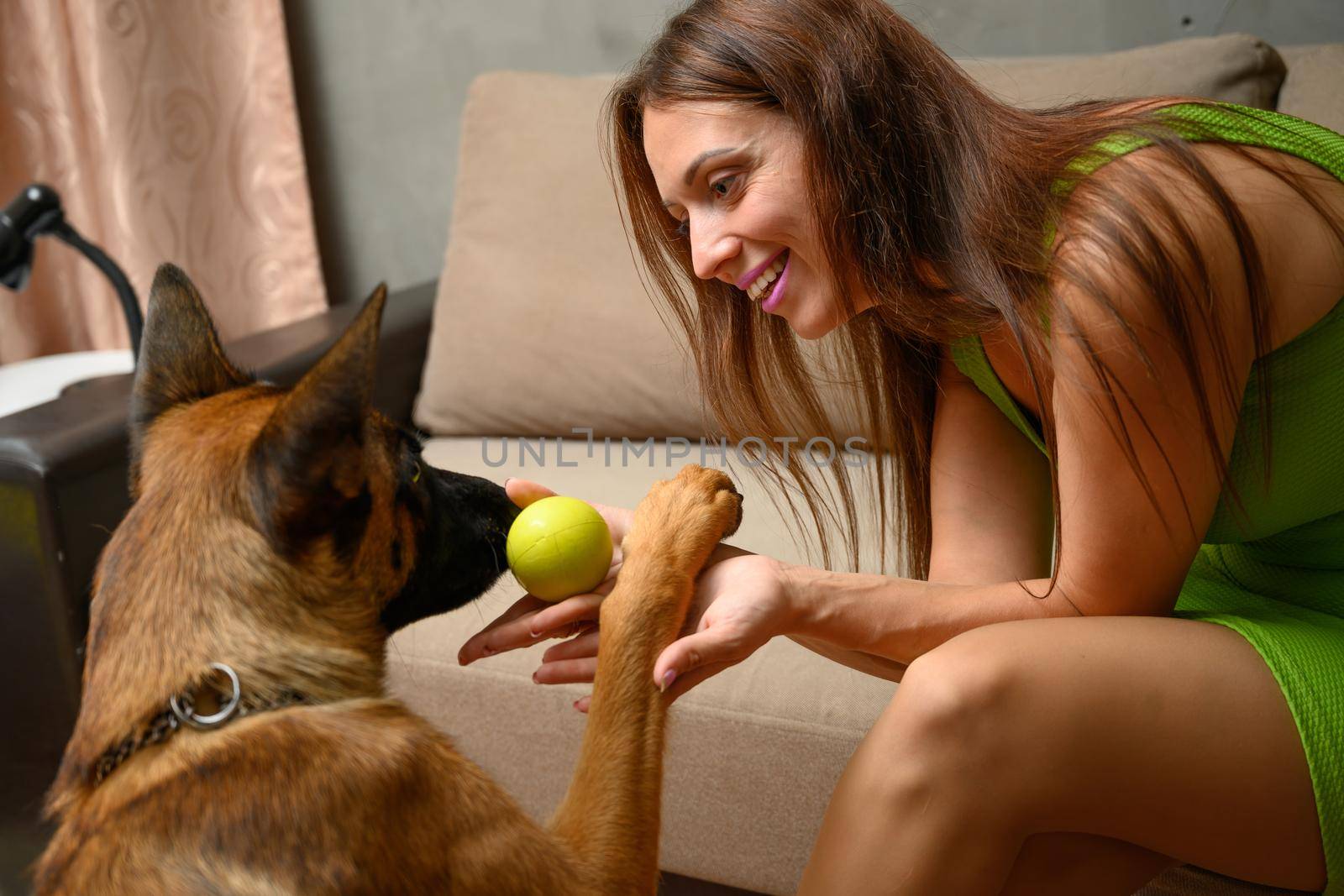 Portrait Smiling cute woman with shepherd dog playing with ball while sitting at home on sofa