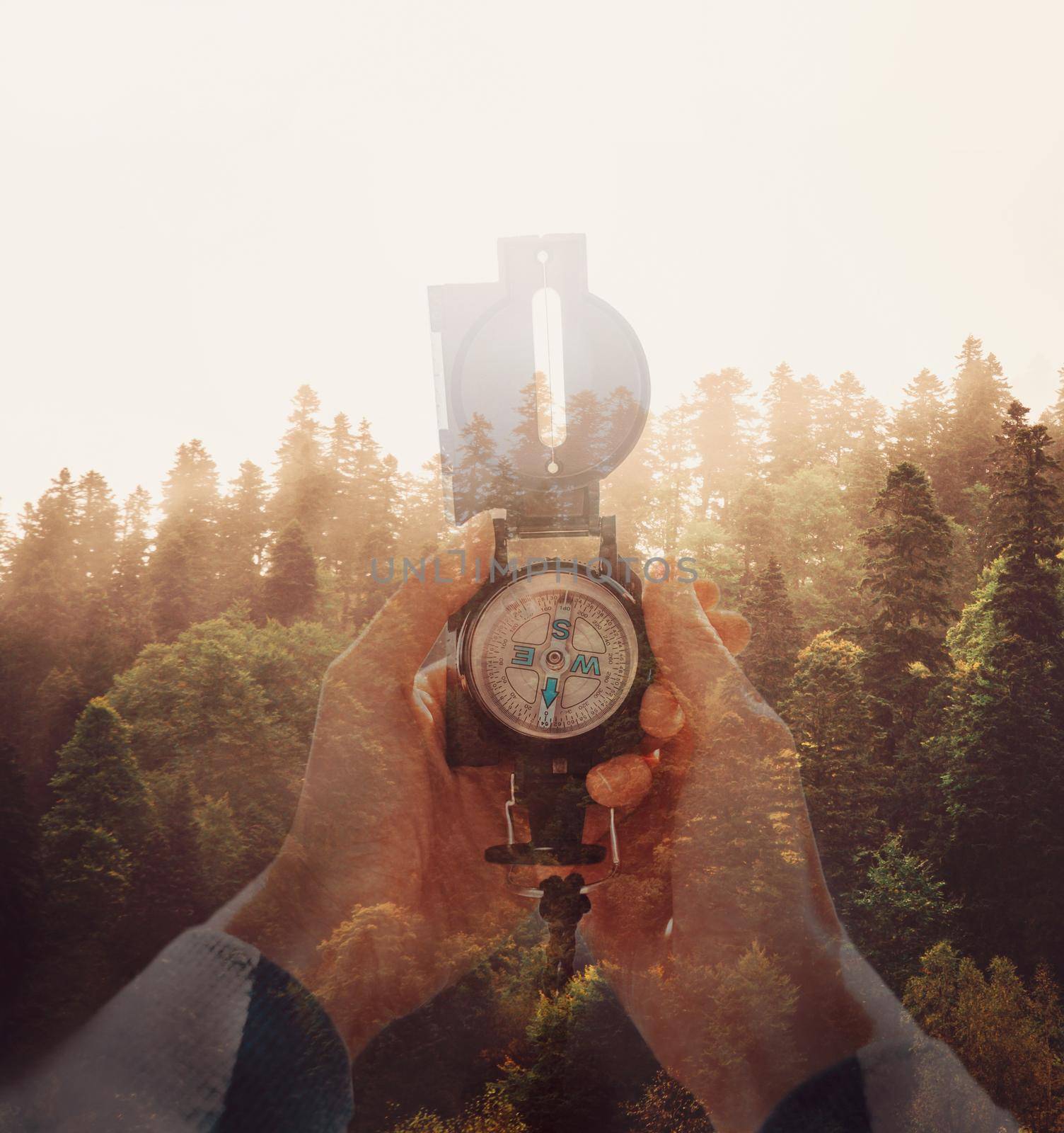 Double exposure compass and forest. by alexAleksei