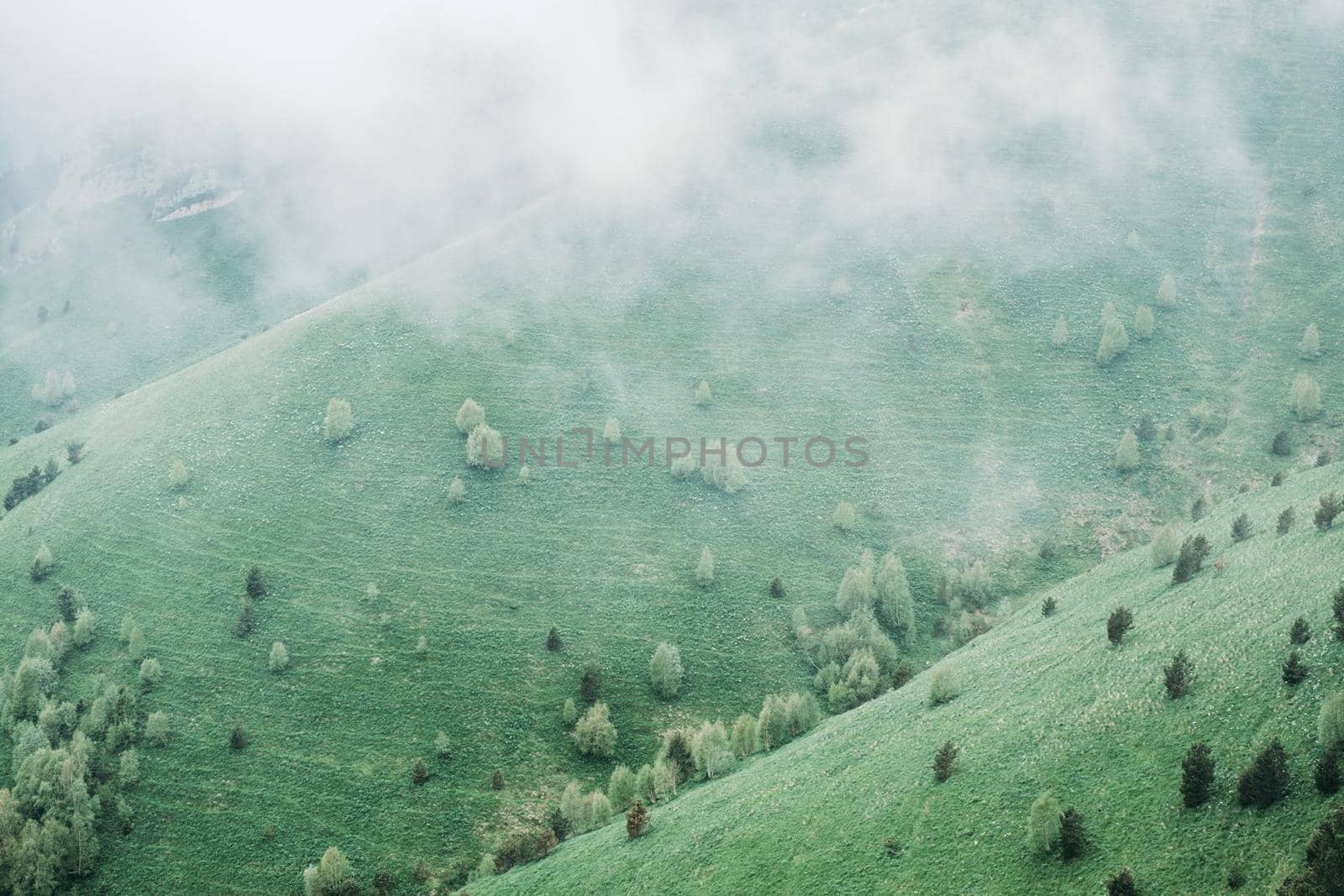 Mist over a mountain valley in summer.