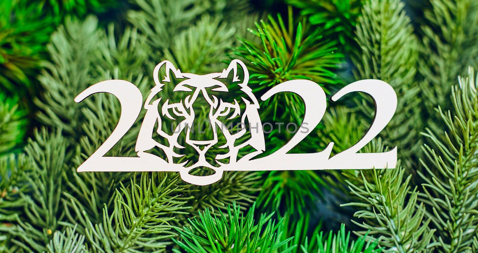 New Year of the Tiger 2022 , Merry Christmas and Happy New Year.