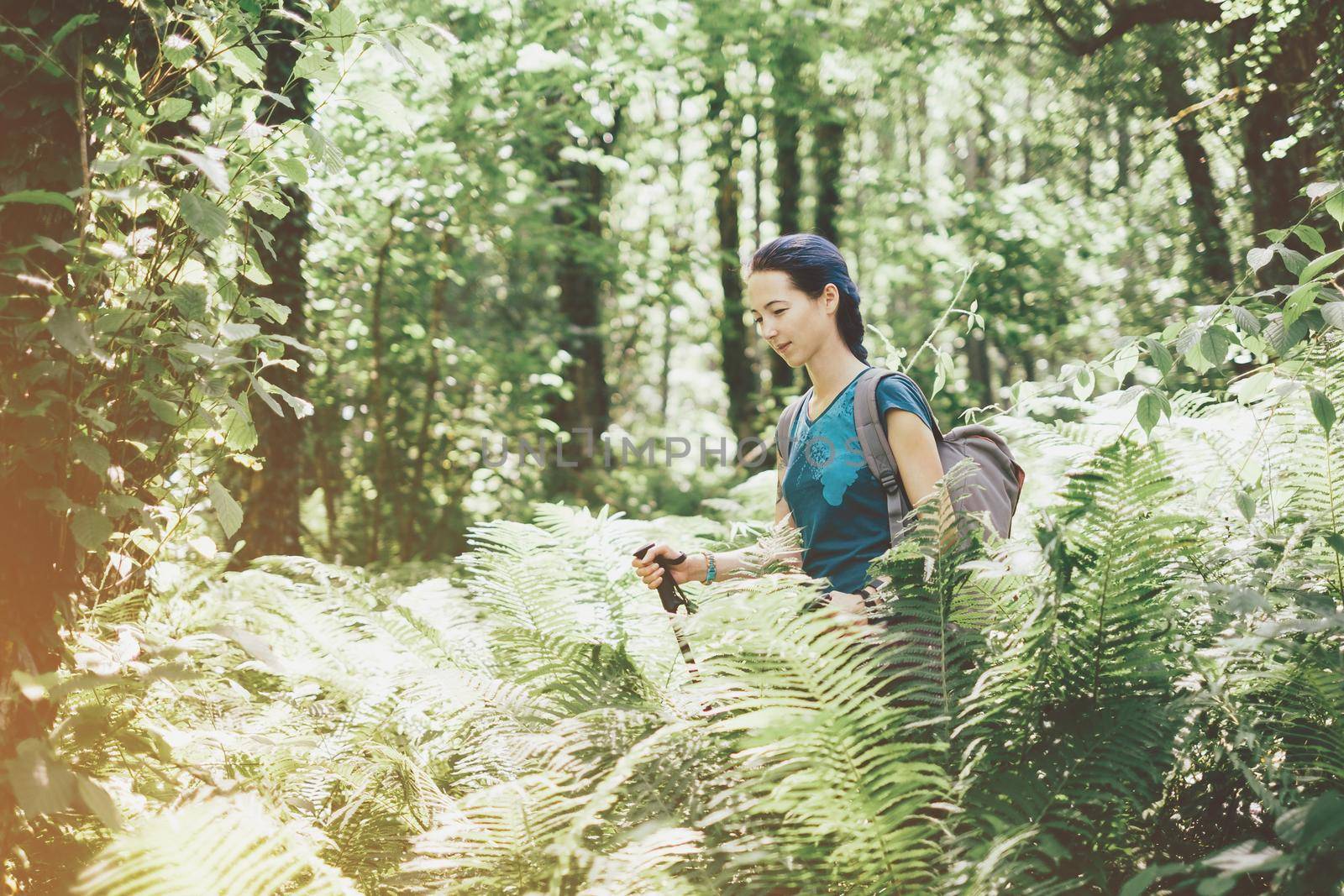 Hiker young woman with backpack and trekking poles walking among green fern bushes in summer forest.