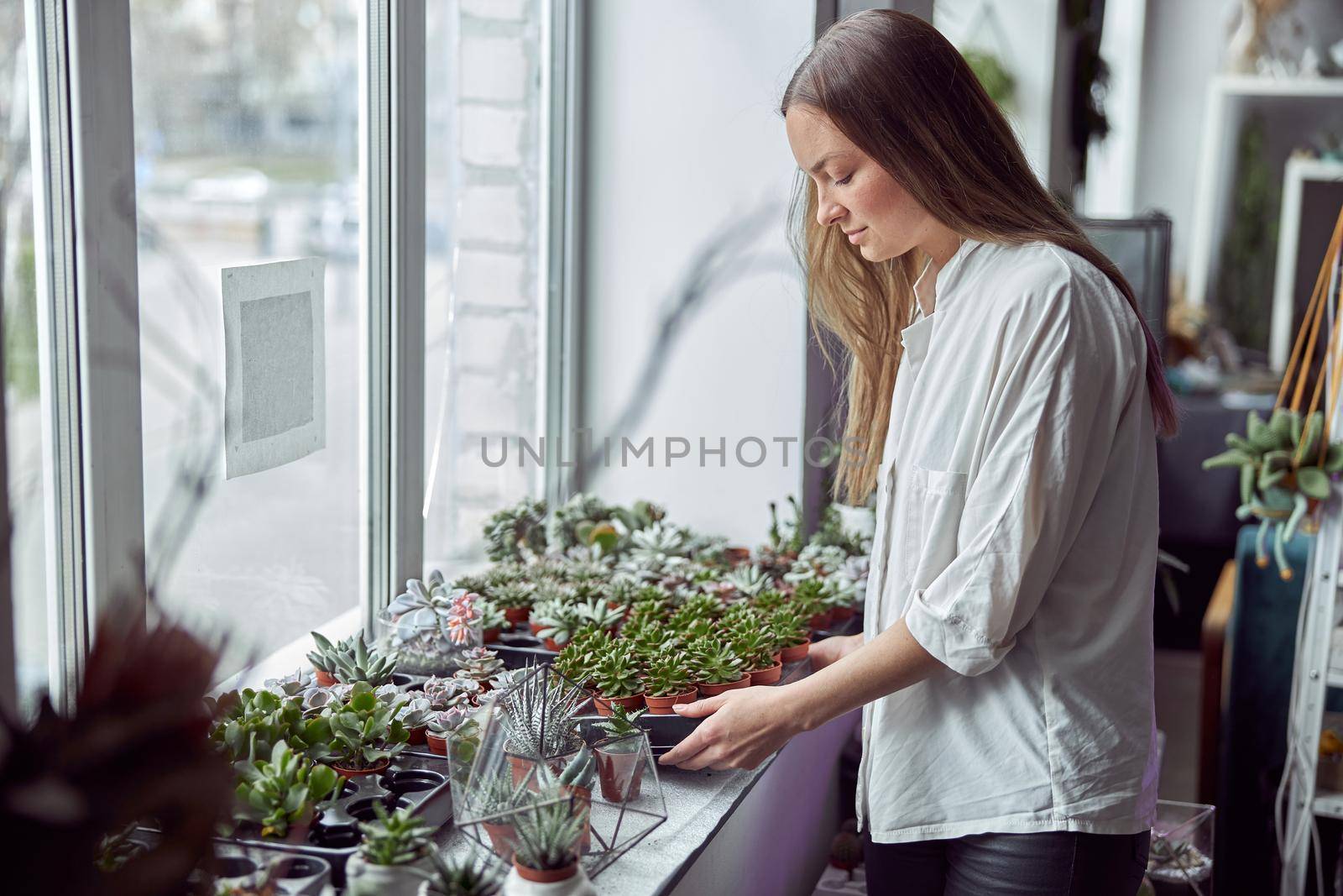 Caucasian female florist is taking care about her plants