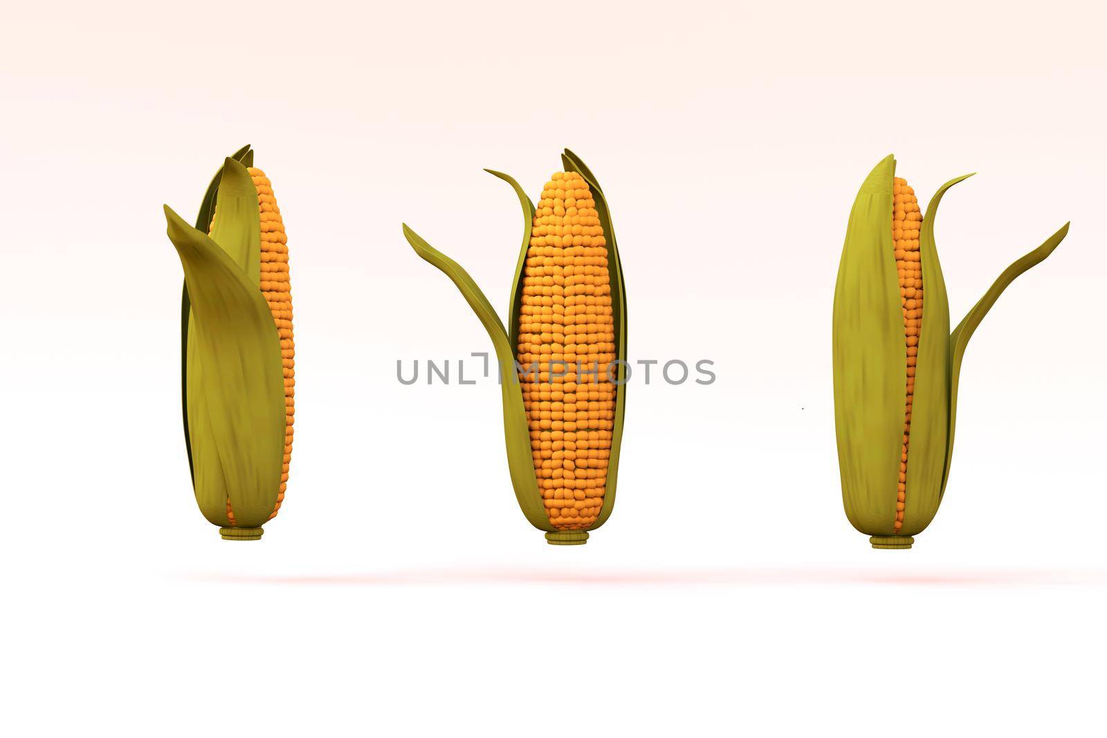 3D realistic corn models on a white isolated background. Yellow corn in a green leaf. Three corn on a white background. 3D graphics, close-up