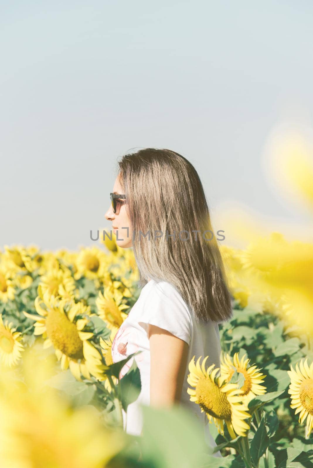 Beautiful woman standing in the field among yellow sunflowers.
