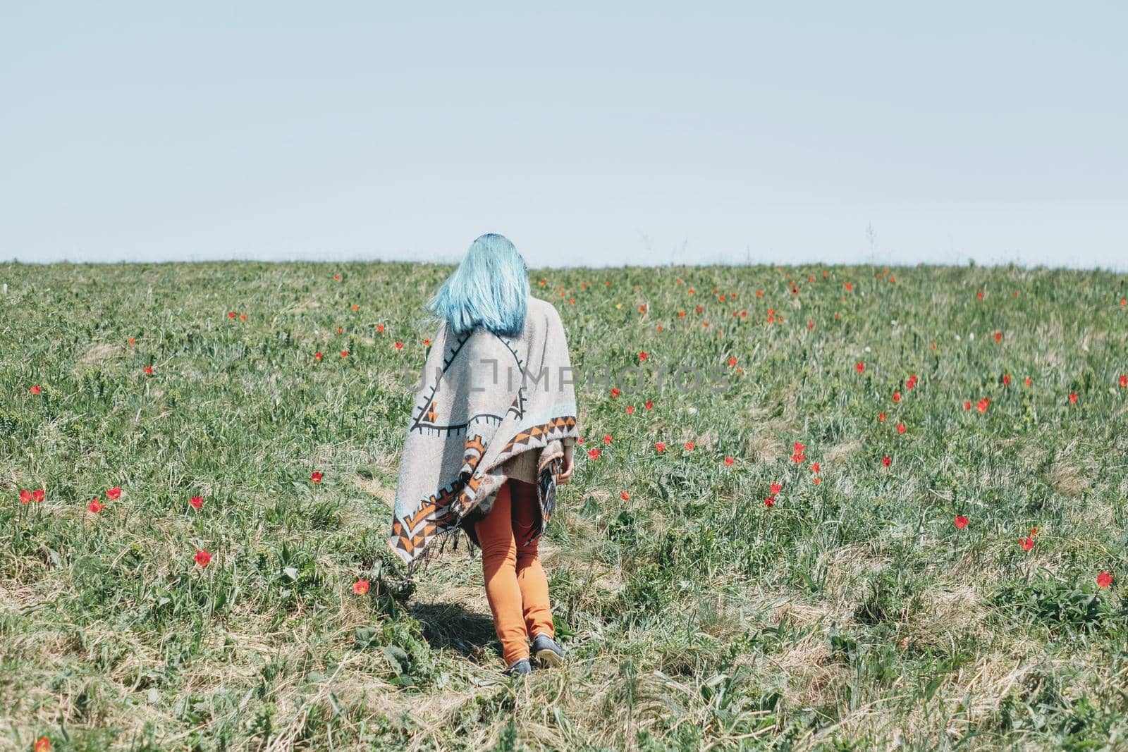 Young woman with blue hair wearing in poncho walking in flower meadow, rear view.