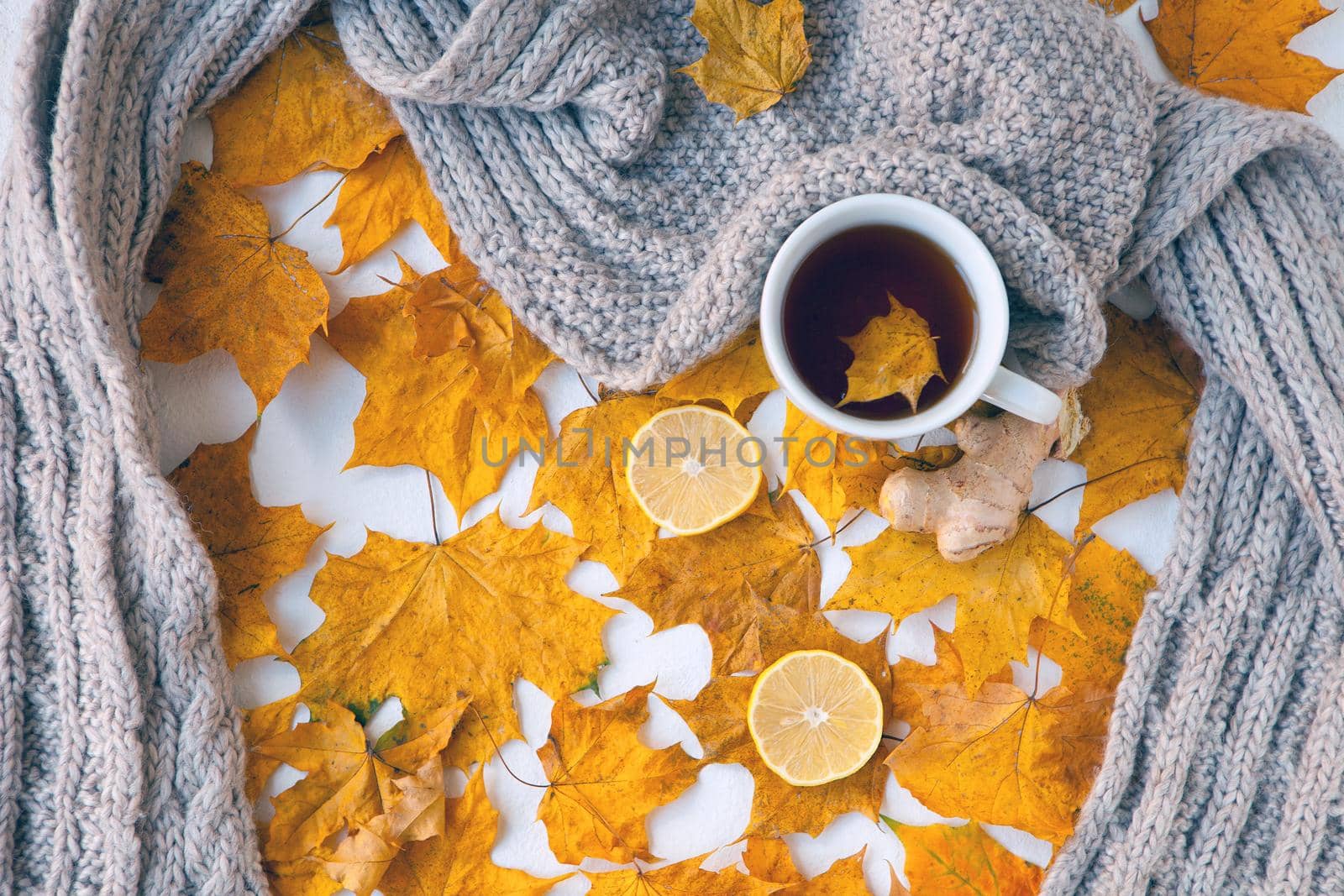 Autumn still life with white cup of tea, warming grey scarf and colorful yellow leaves with ginger and lemon. Selective focus, shallow.