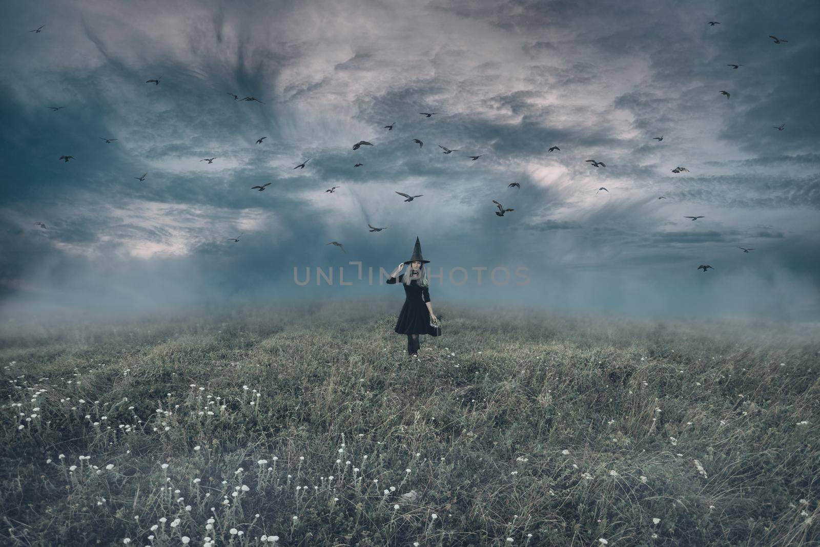 Young witch walking on meadow in cloudy weather, birds flying in the sky at Halloween night.
