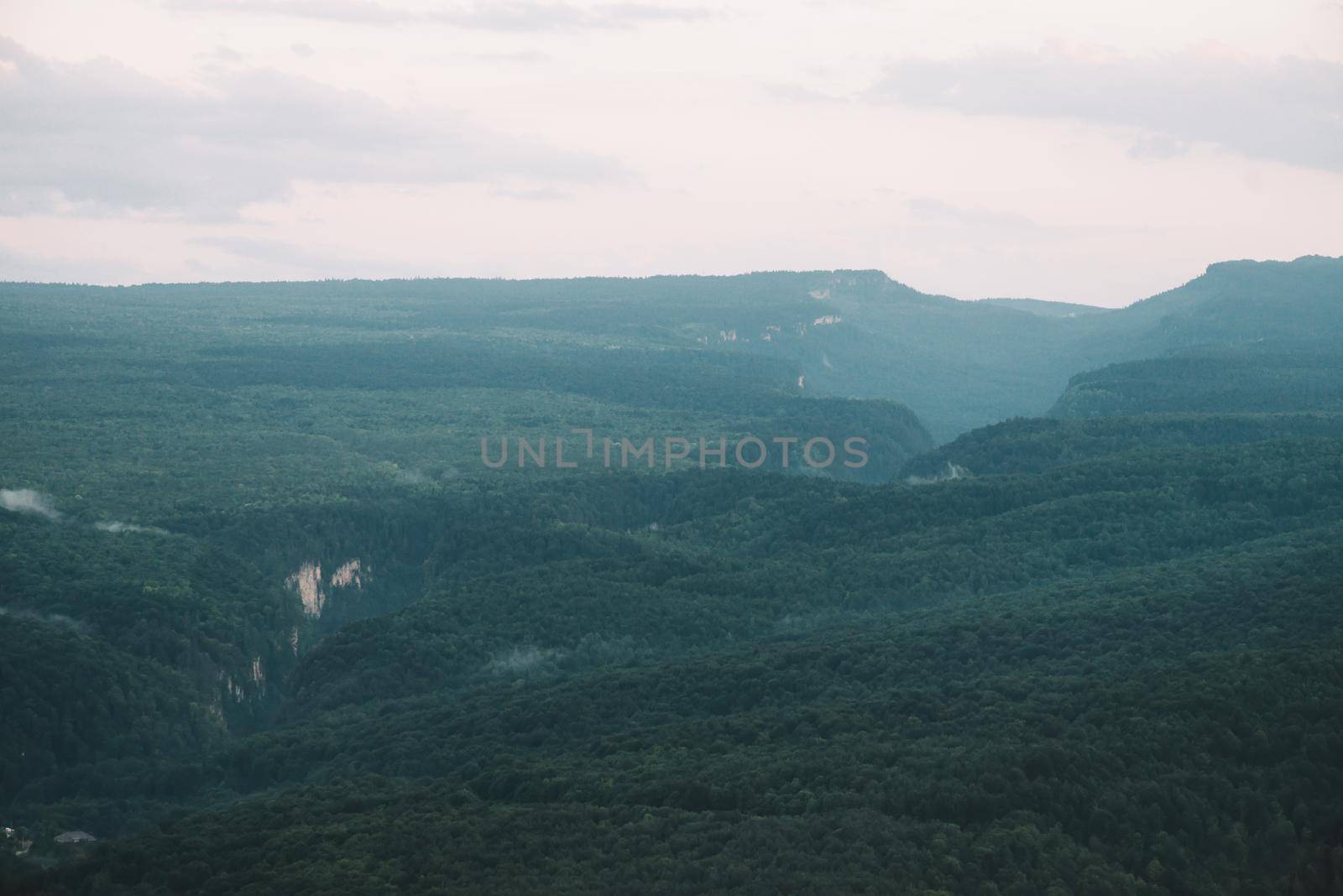 Summer landscape: gorge in valley.