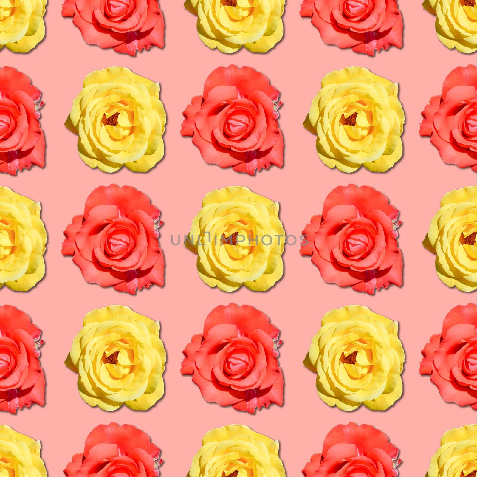 Rose seamless flower pattern. by esvetleishaya
