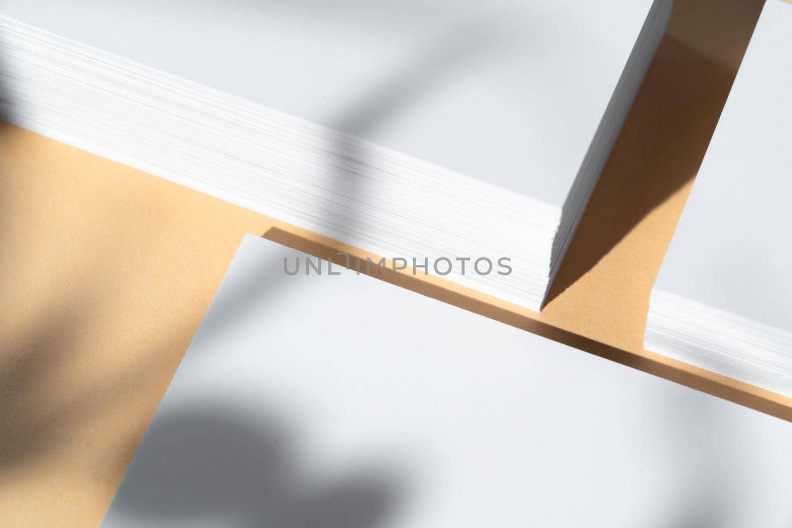 Creative photo with floral shadow of white businesscard on beige background, copy space