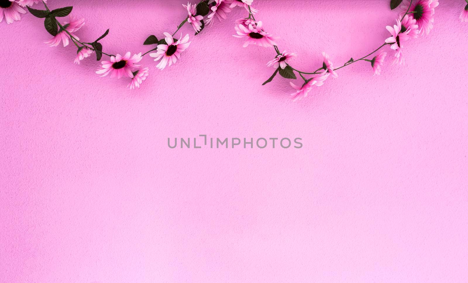 Cheerful, colorful pink, purple daisies garland hanging on pink wall background texture. beautiful modern design with copy space abstract decoration with flowers