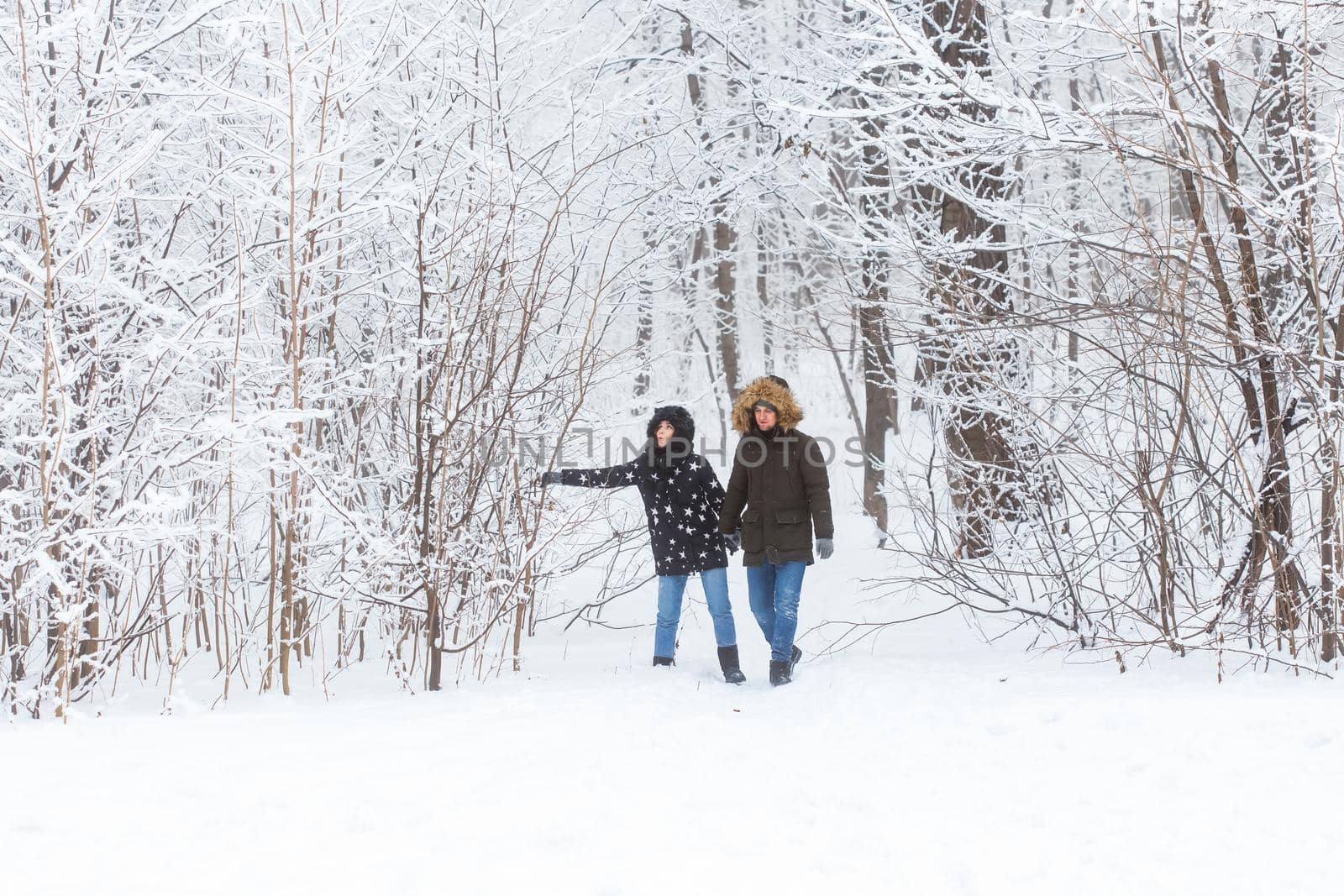 Young couple walking in a snowy park. Winter season. by Satura86