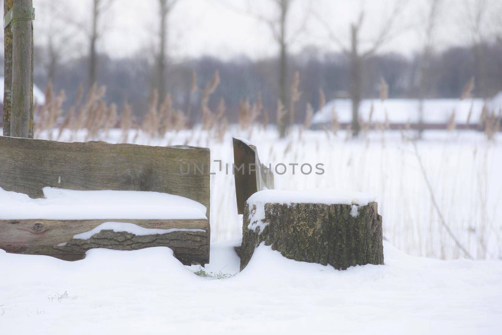 Park bench and trees covered by fresh snow in winter landscape, colorful nature closeup