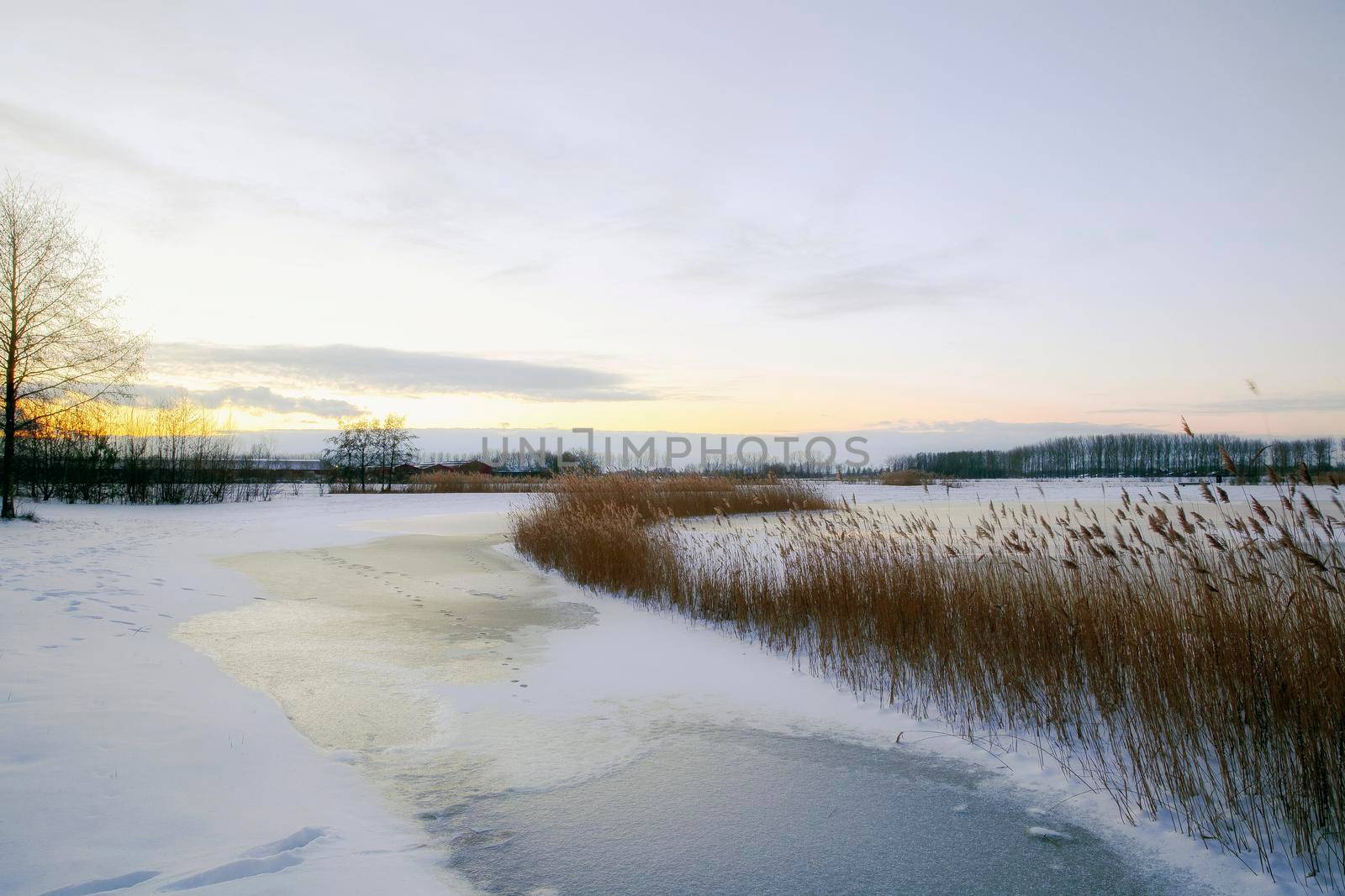 Beautiful winter landscape at sunset with fog and snow covering farmland and river in the Netherlands beautiful colors in nature winter