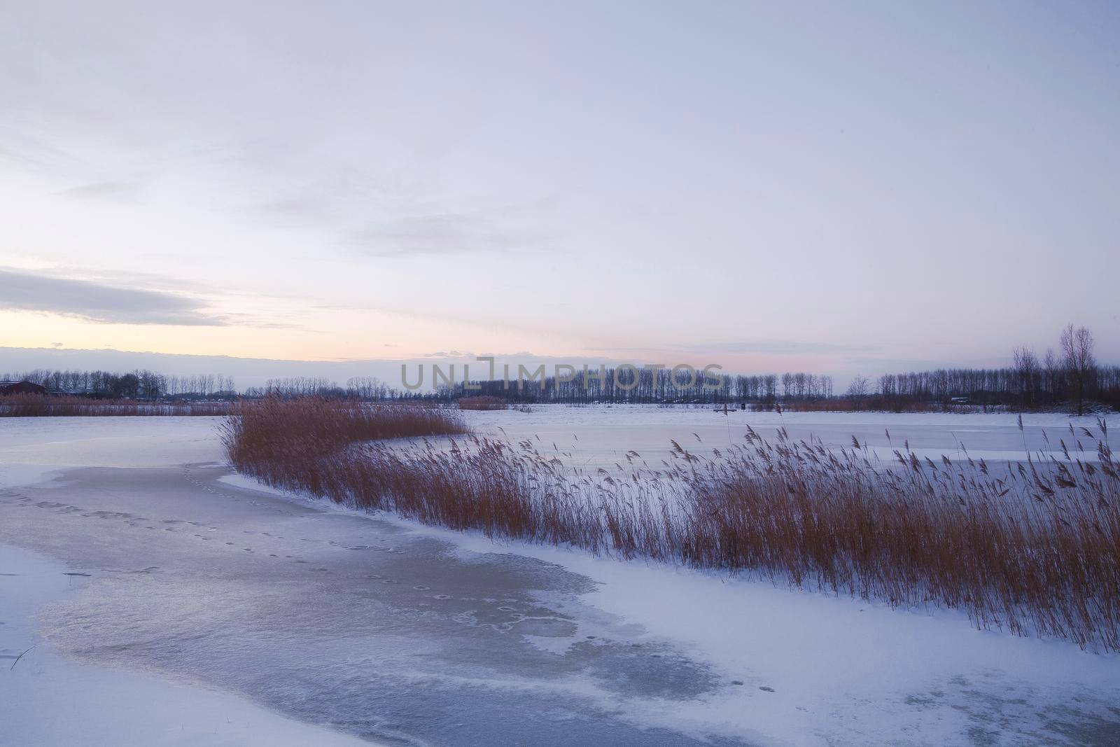 Beautiful winter landscape at sunset with fog and snow covering farmland and river in the Netherlands beautiful colors in nature winter