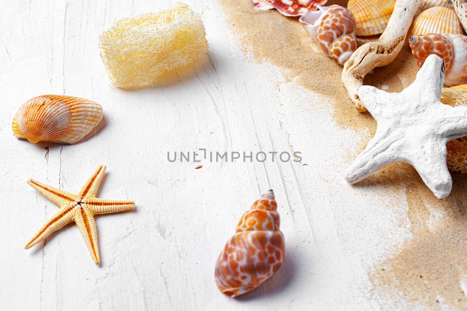 Summer vacation concept with sea shells on white wo9oden planks close up