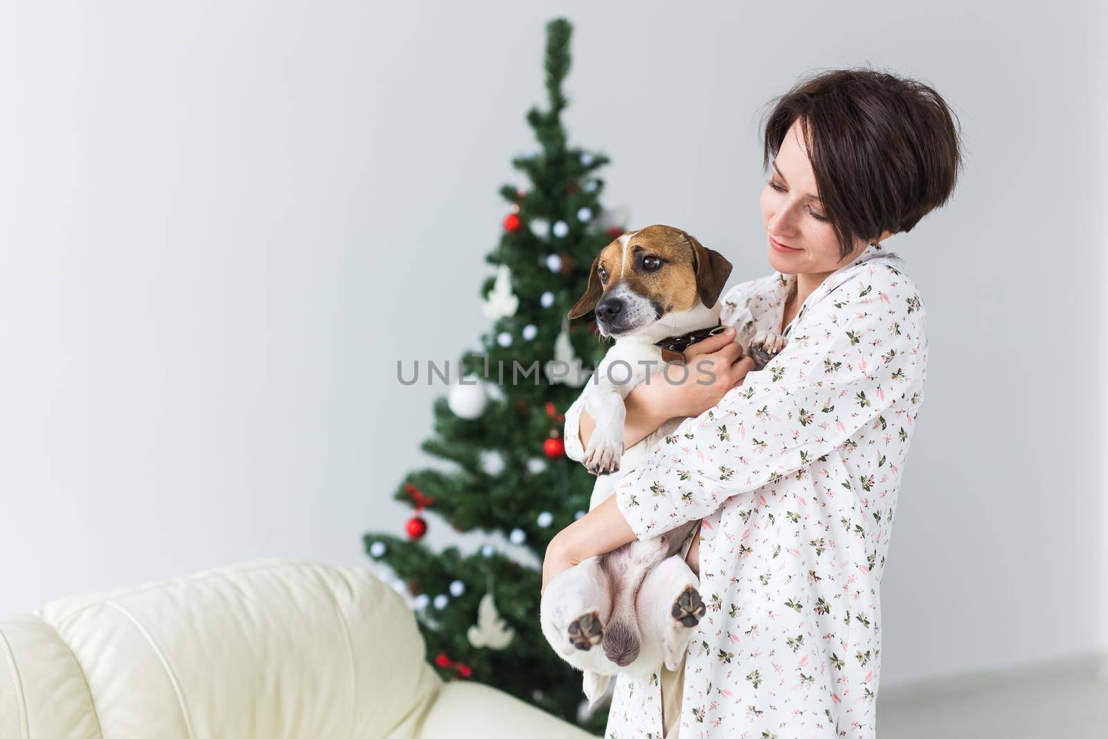 Happy woman with dog. Christmas tree with presents under it. Decorated living room.