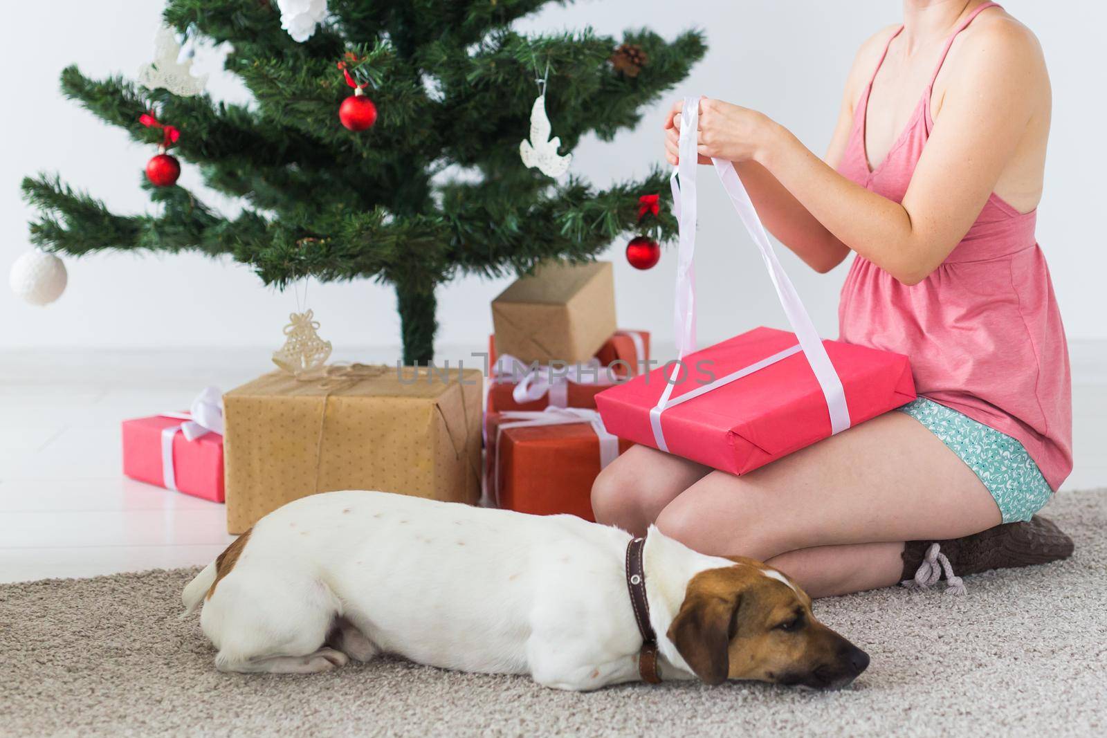 Happy woman with dog opening Christmas gifts. Christmas tree with presents under it. Decorated living room.