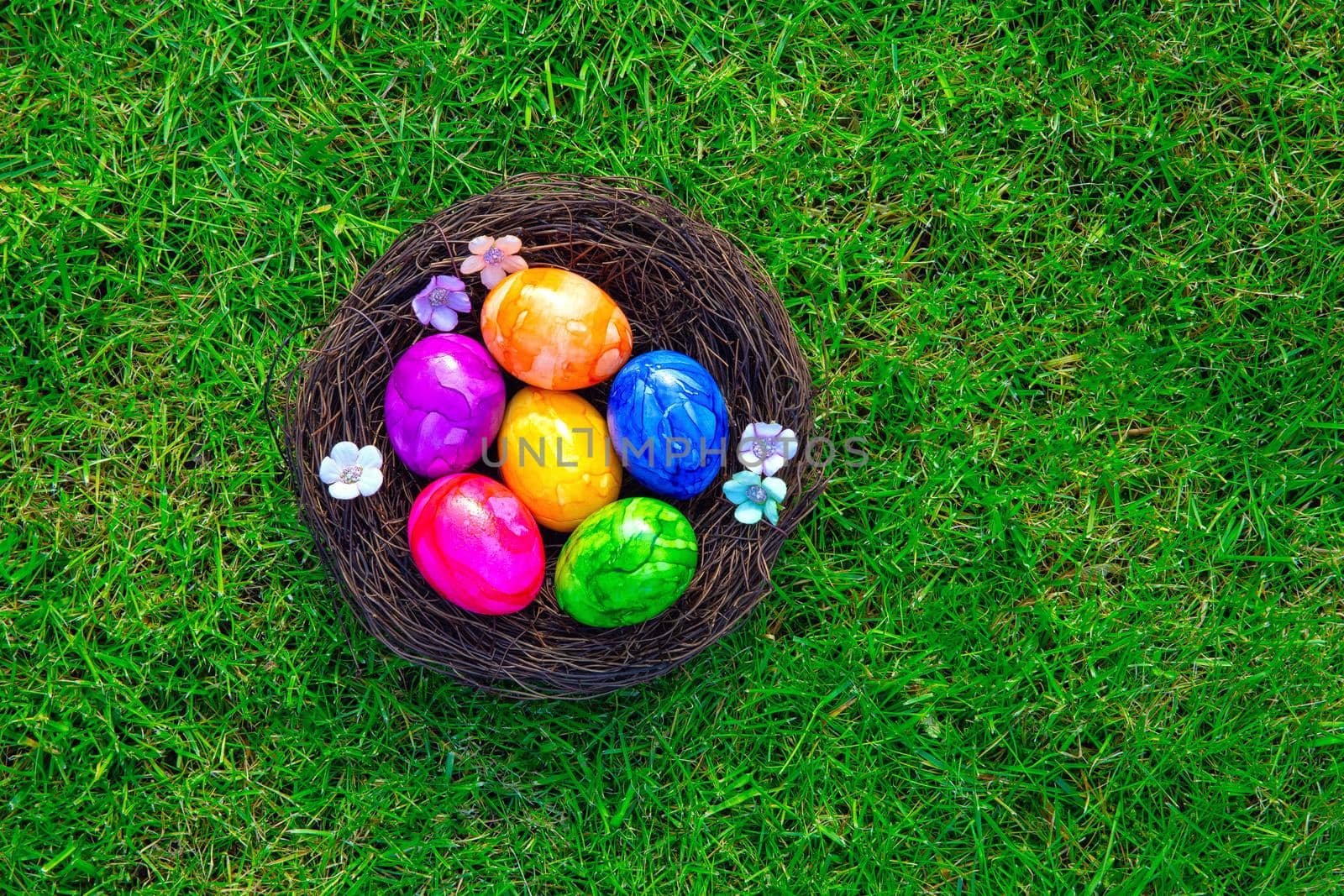 Colorful painted Easter eggs in nest on fresh green grass top view, Happy Easter Holliday concept background with copy space, spring and space for text