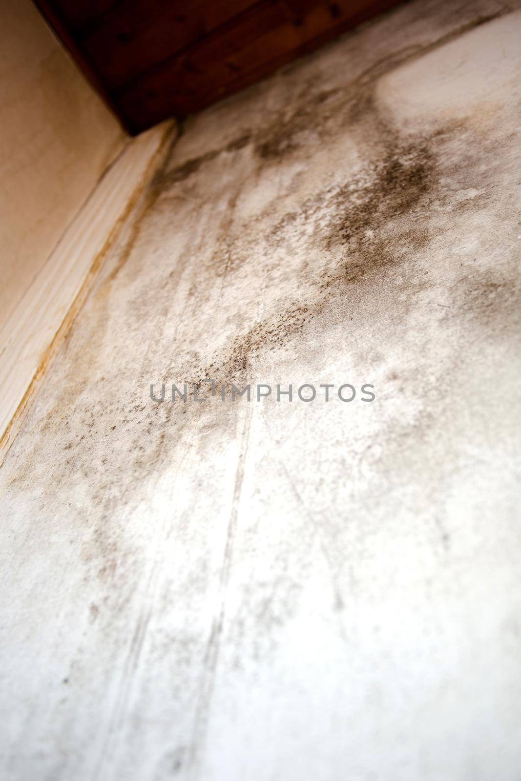 Black mold in the corner, old ceiling of building, water damage causing mold growth, dangerous toxic fungus in the room, needs renovation house, copy space close up background