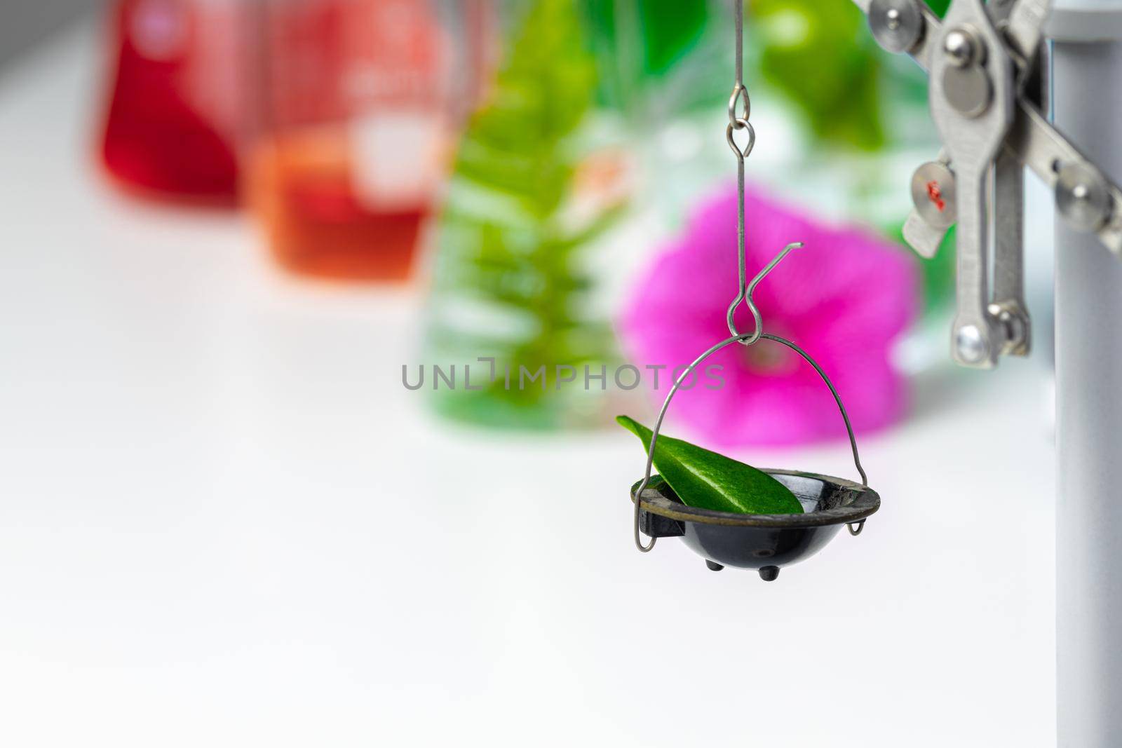 Laboratory scales with dry plants close up. Scientific research of plants concept