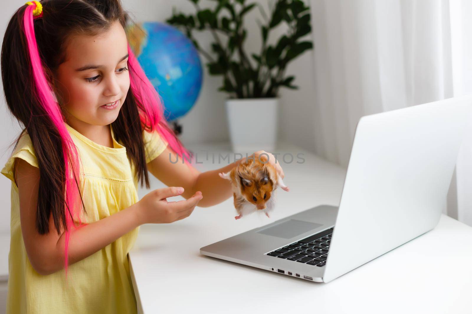 Cheerful young little girl with a pet hamster using laptop computer studying through online e-learning system at home. Distance or remote learning