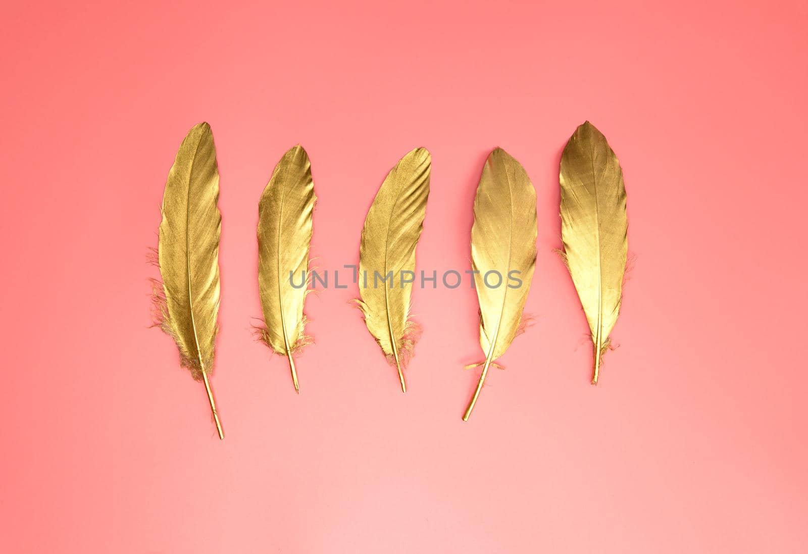 Gold shiny feathers in a row on pastel pink background, Flat lay, retro,modern,colorful stylish concept top view. design element wallpaper copy space bright fresh color