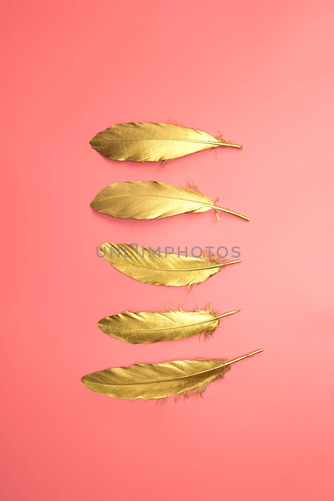 Gold shiny feathers in a row on pastel pink background, Flat lay, retro,modern,colorful stylish concept top view. design element wallpaper copy space bright fresh color