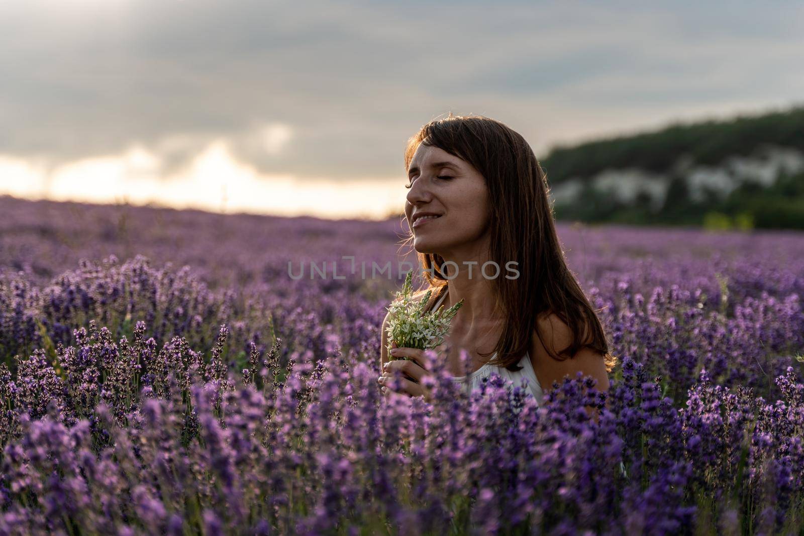 Lavender flower blooming scented fields in endless rows. Selective focus on Bushes of lavender purple aromatic flowers at lavender field. Abstract blur for background.