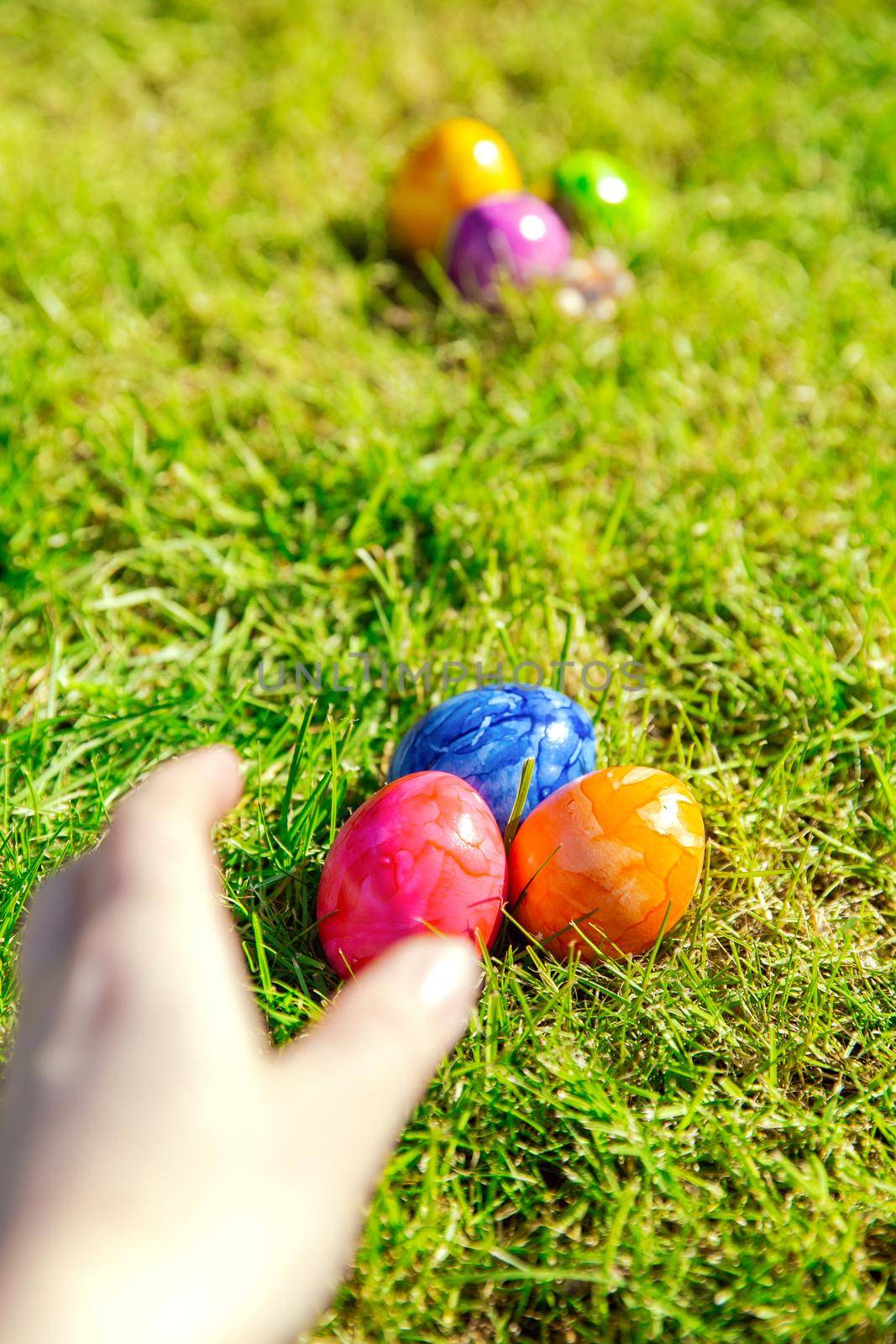 Easter eggs hidden in the grass, Colorful handmade painted Easter eggs hunt, Happy Easter Holiday concept in garden or park,spring