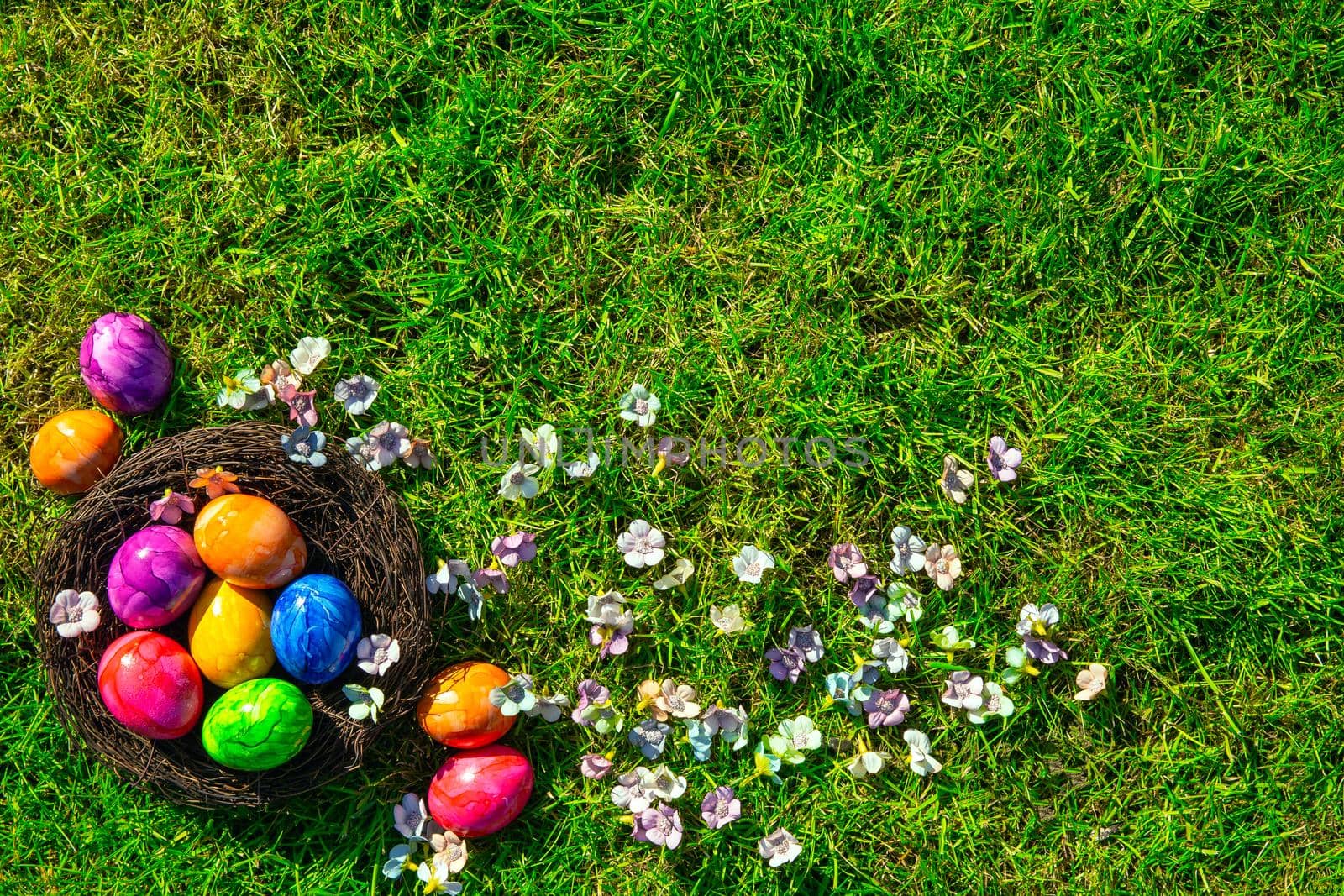 Colorful painted Easter eggs in nest on fresh green grass top view, Happy Easter Holliday concept background with copy space, spring and space for text