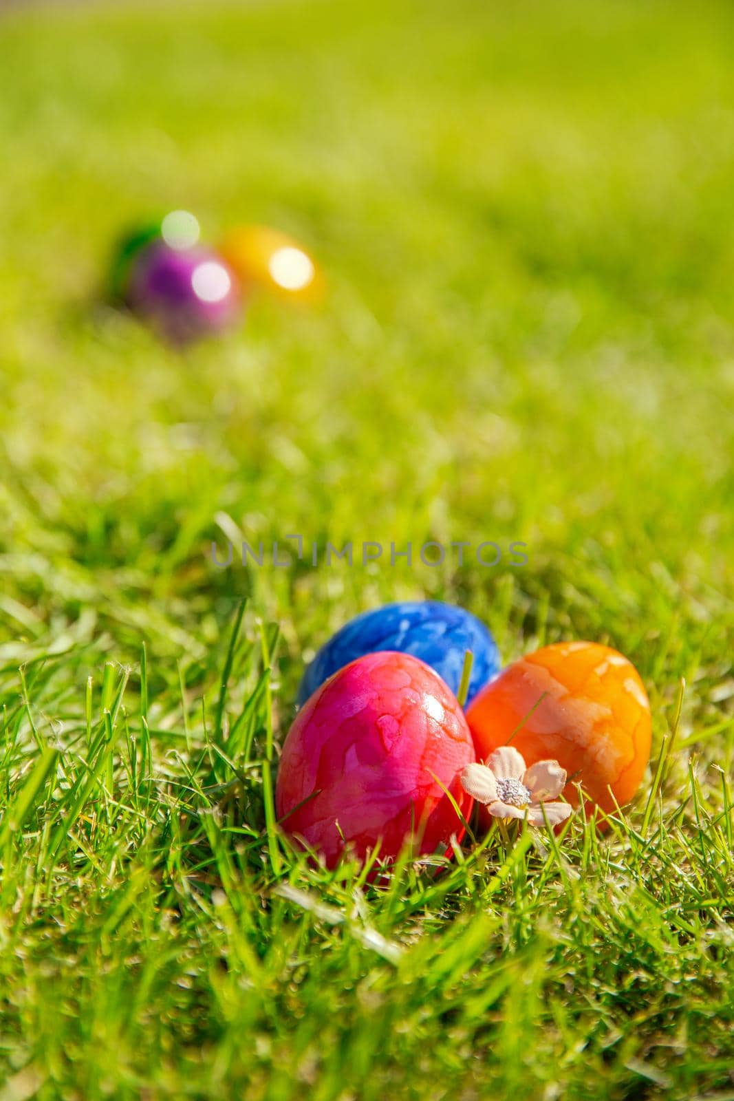 Colorful painted Easter eggs in the bright fresh green grass, concept for Easter Holliday, spring background with copy space space for text
