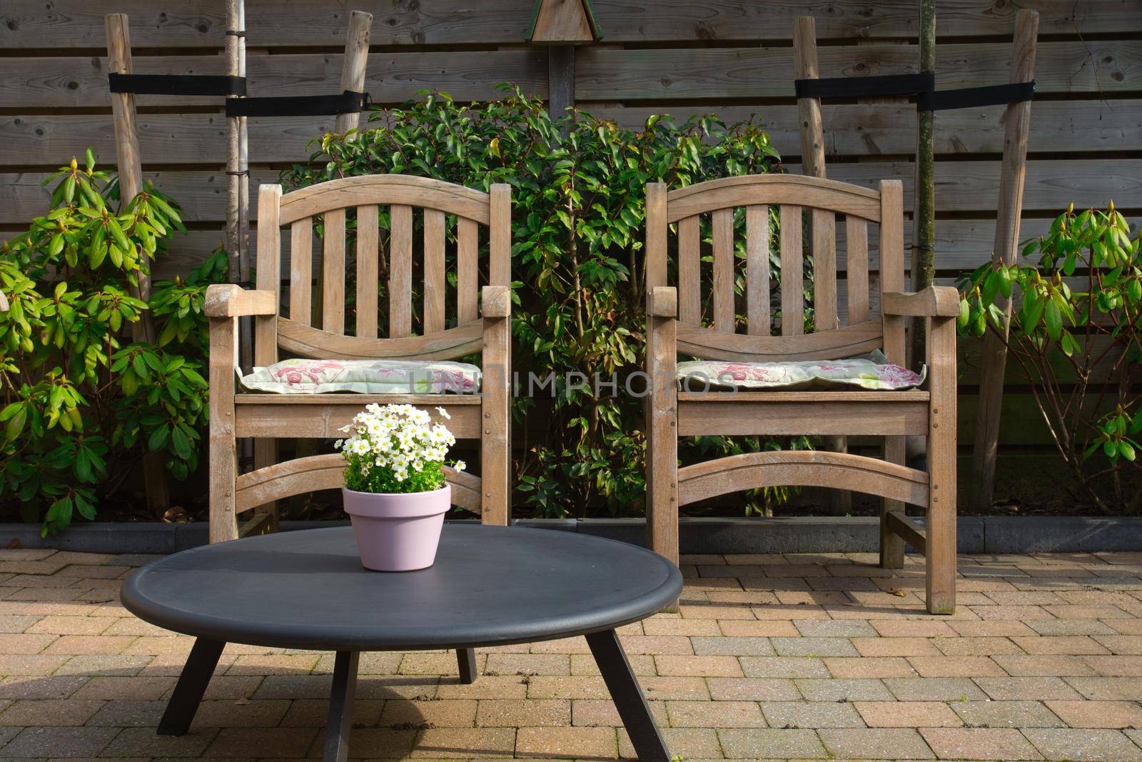 Cozy seating area in the garden of a modern home in the spring, wooden seats with colorful flowers in flower pot. backyard design on a sunny day close up