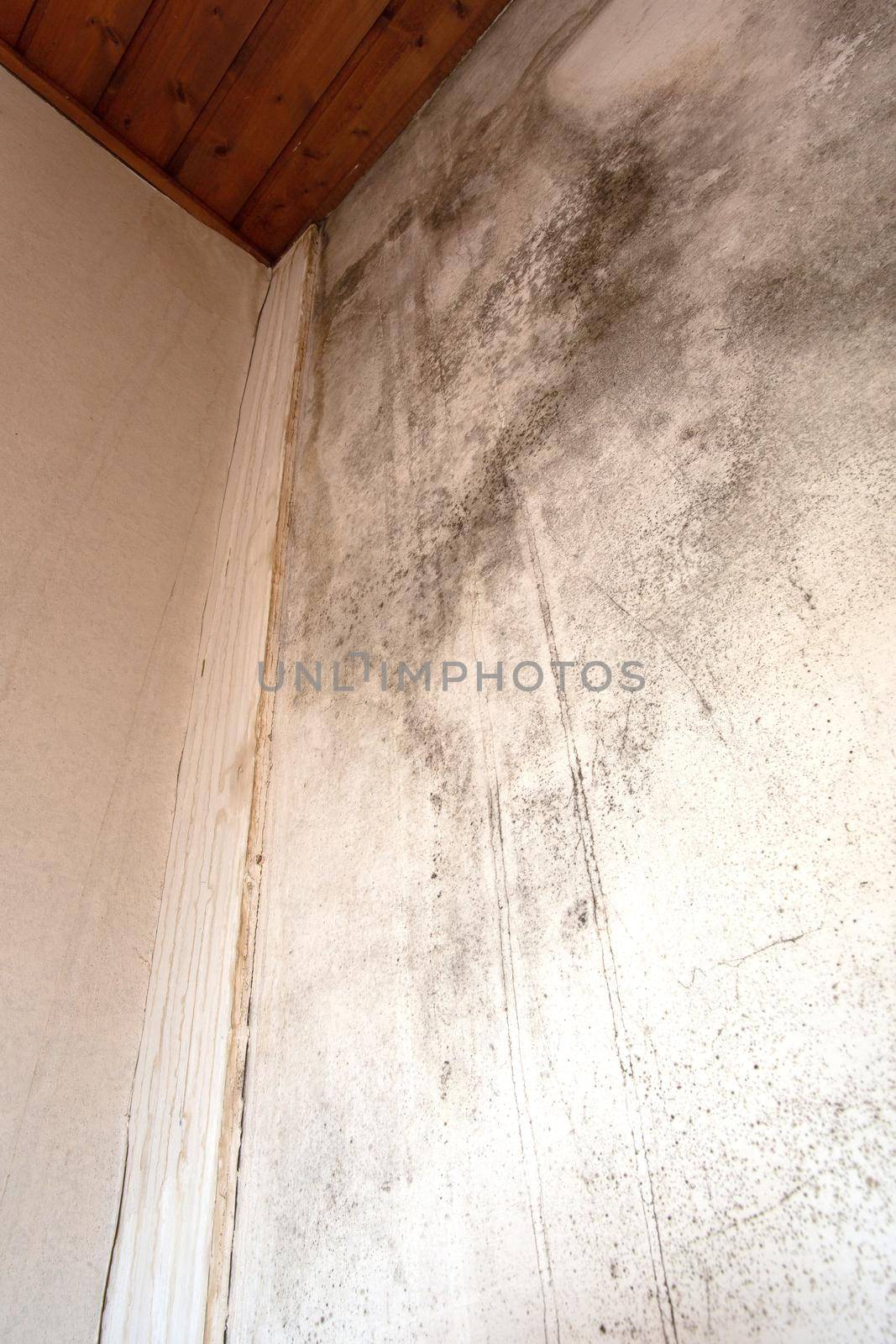 Black mold in the corner, old ceiling of building, water damage causing mold growth, dangerous toxic fungus in the room, needs renovation house, copy space close up background