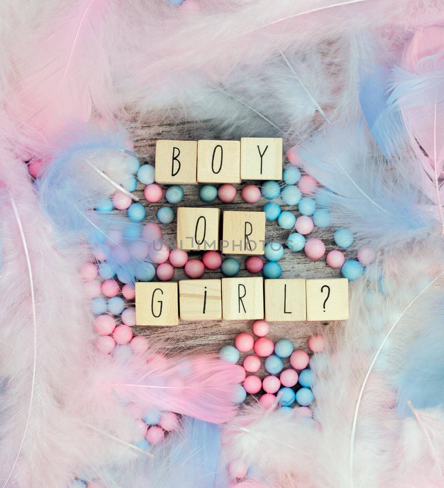 Boy or Girl text surrounded with pastel colored feathers, Gender reveal gathering party concept. Baby announcement. Flat lay,text space. background texture greeting card