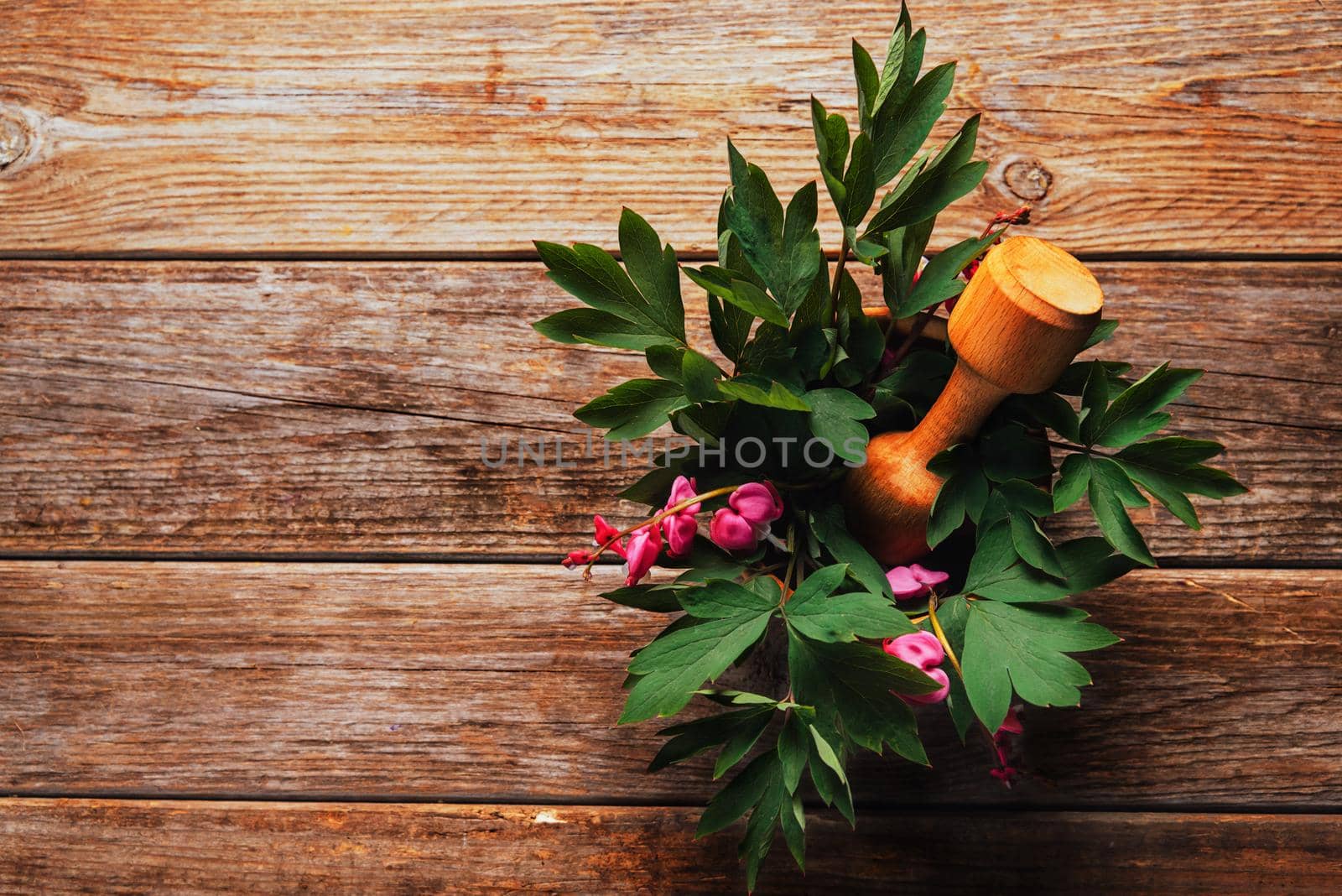 Bleeding heart red flowers in mortar with pestle on wooden background, medicinal herb. Space for text in left part of image, top view.