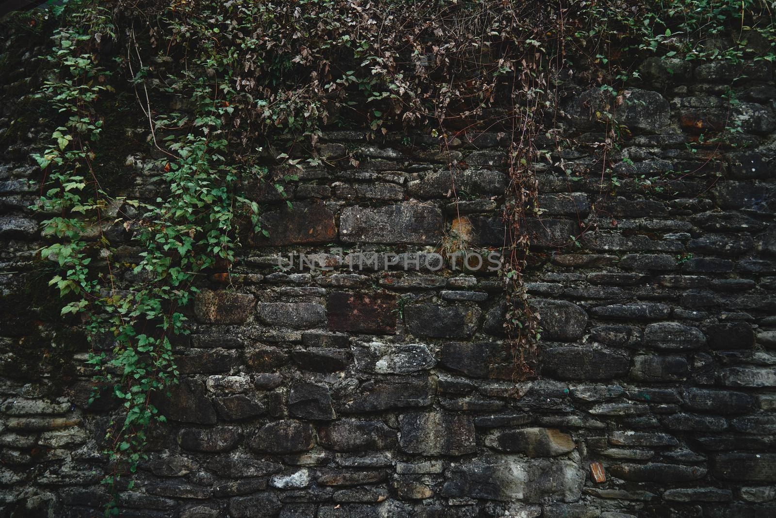 Wall from small dark stones with green plants, background. Space for text in right part of image
