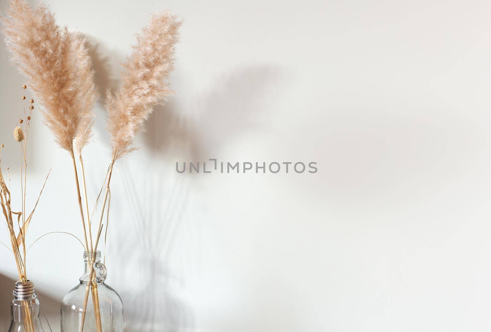 Dried pampas grass in glass vase on wooden table near white background, modern bright decoration for home interior, copy space,space for text