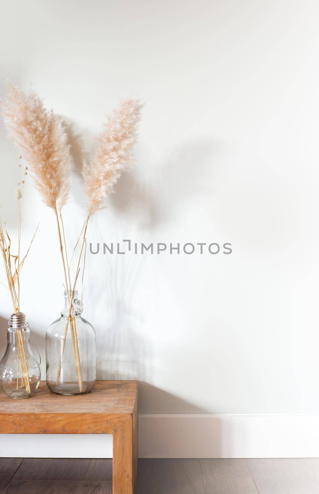 Dried pampas grass in glass vase on wooden table near white background, modern bright decoration for home interior, copy space by Annebel146