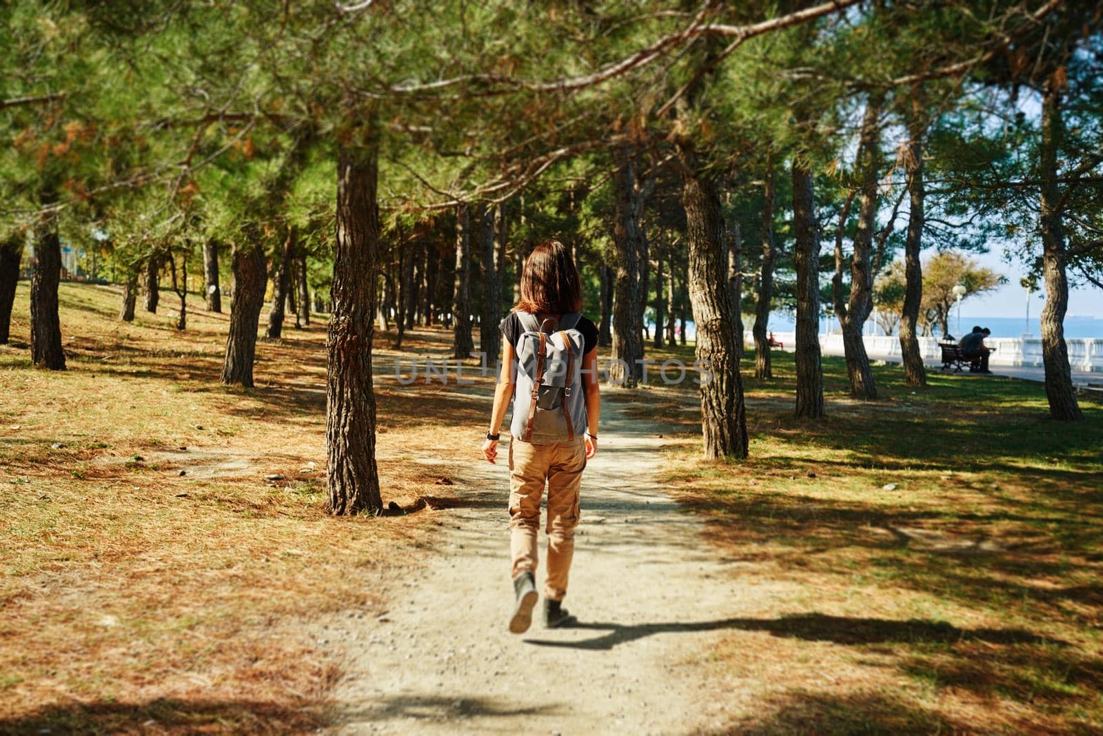 Traveler woman walking in fir-trees park, rear view