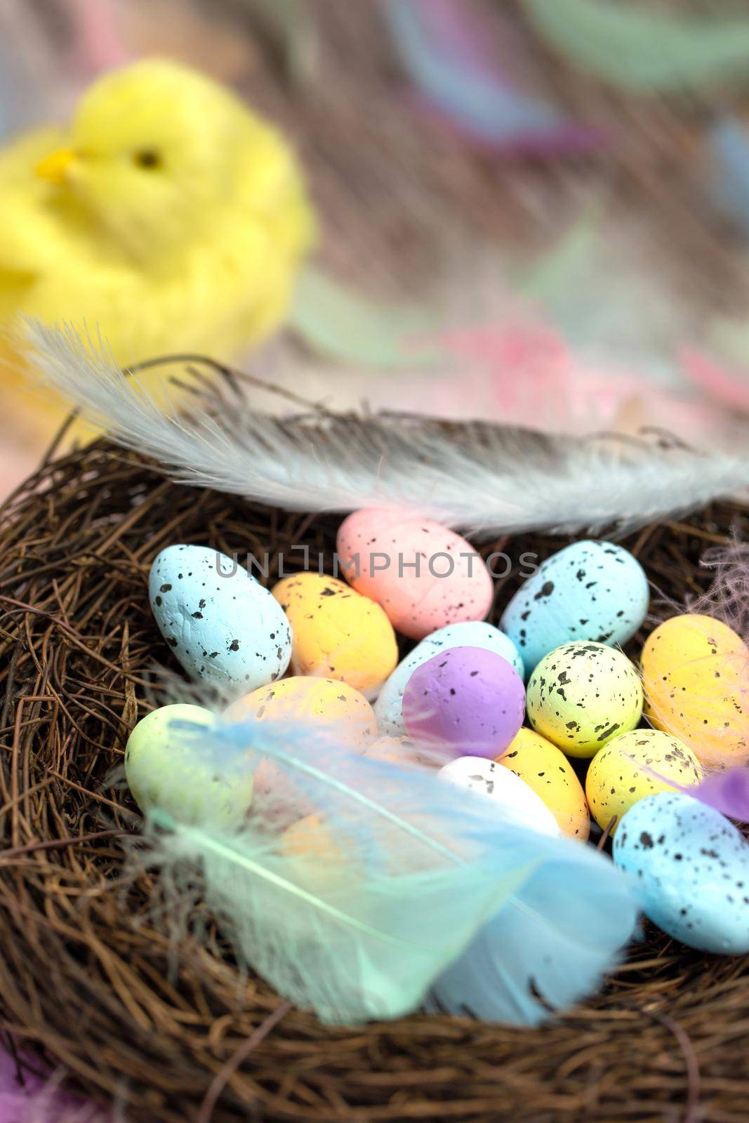 Easter eggs in a bird's nest pastel colores, Easter, spring, Nature concept background macro with colorful feathers on the background yellow chicks