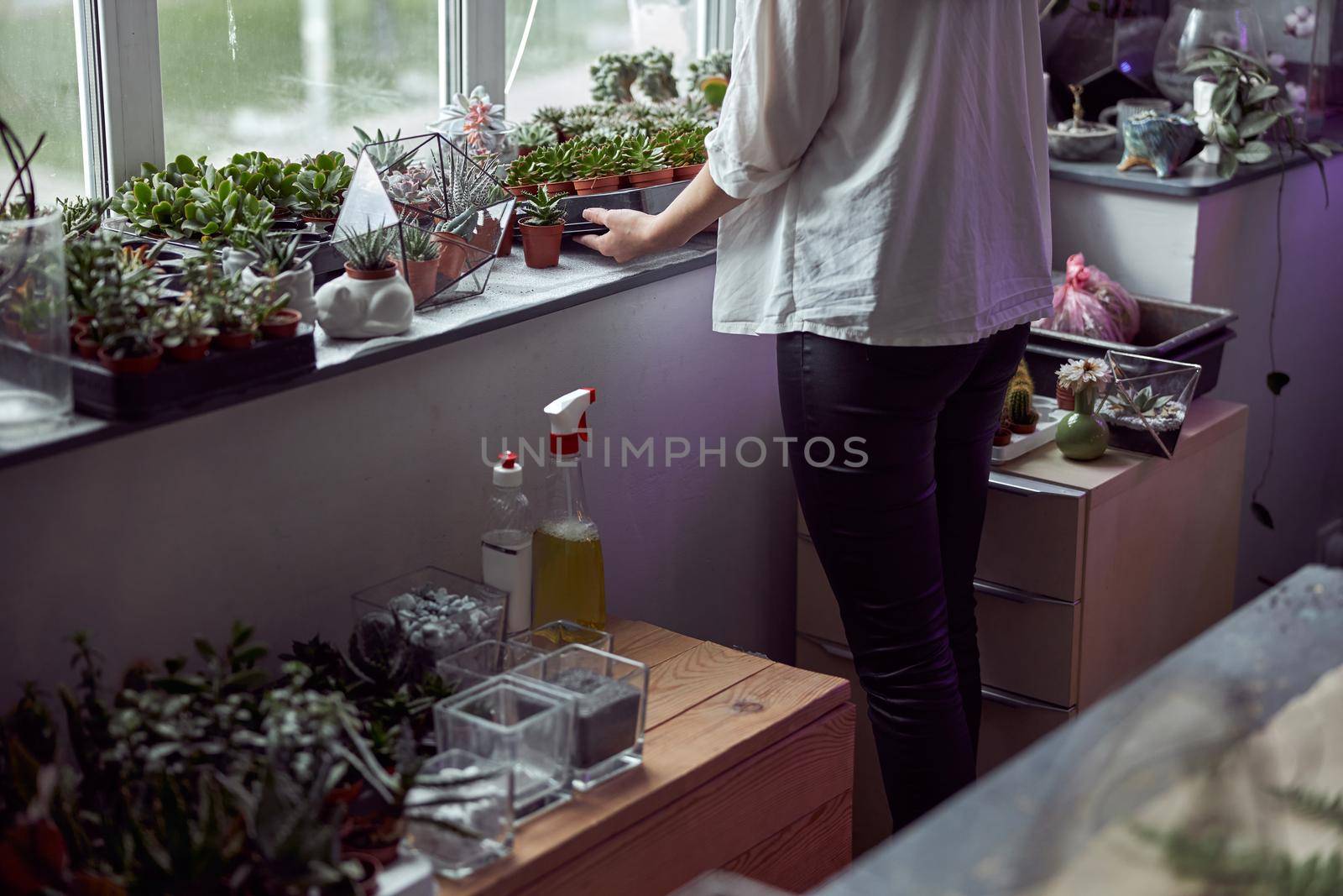 Confident female florist is working with dryed flowers in cozy flower shop