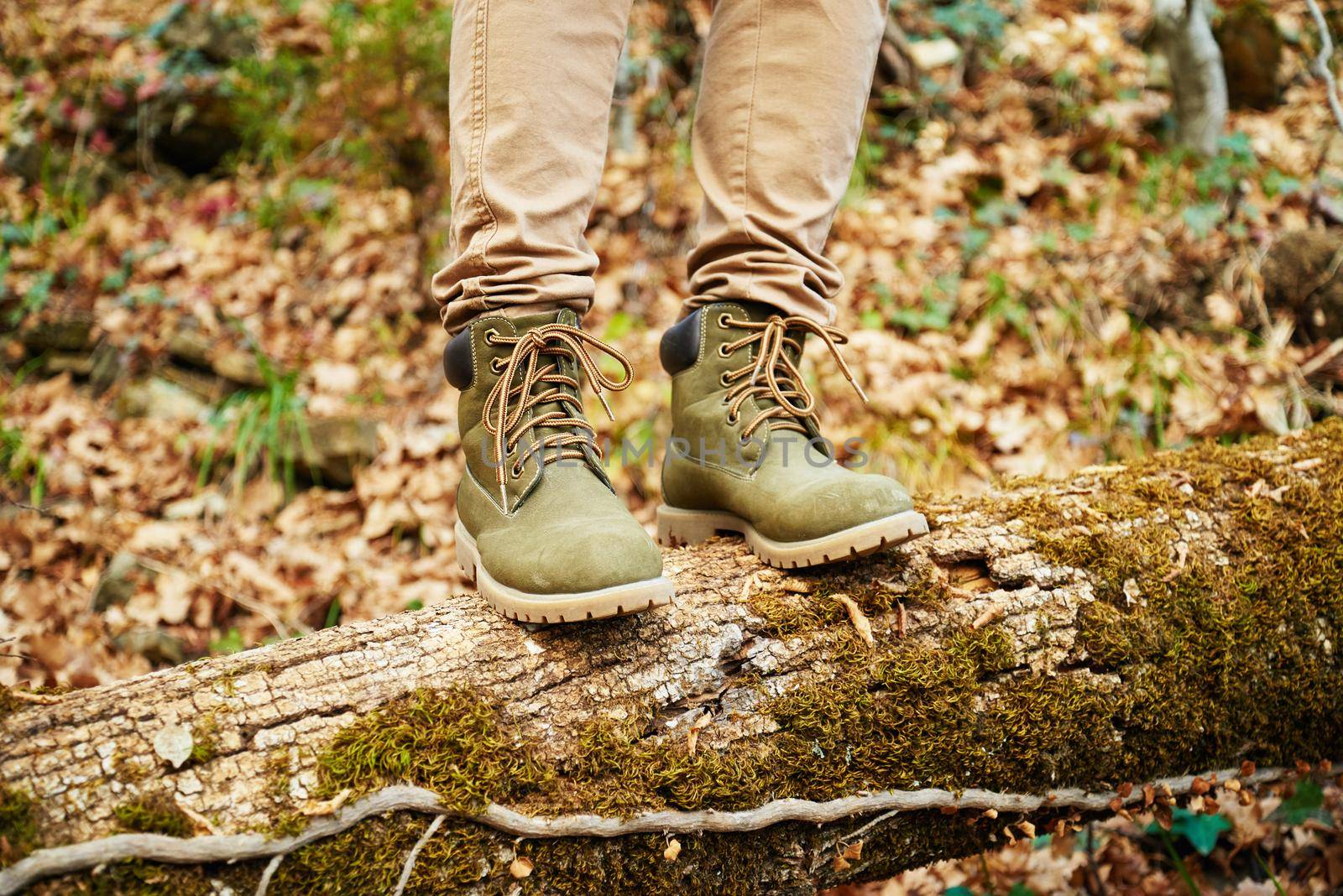 Hiker woman standing on fallen tree trunk in autumn forest, view of legs. Hiking and leisure theme