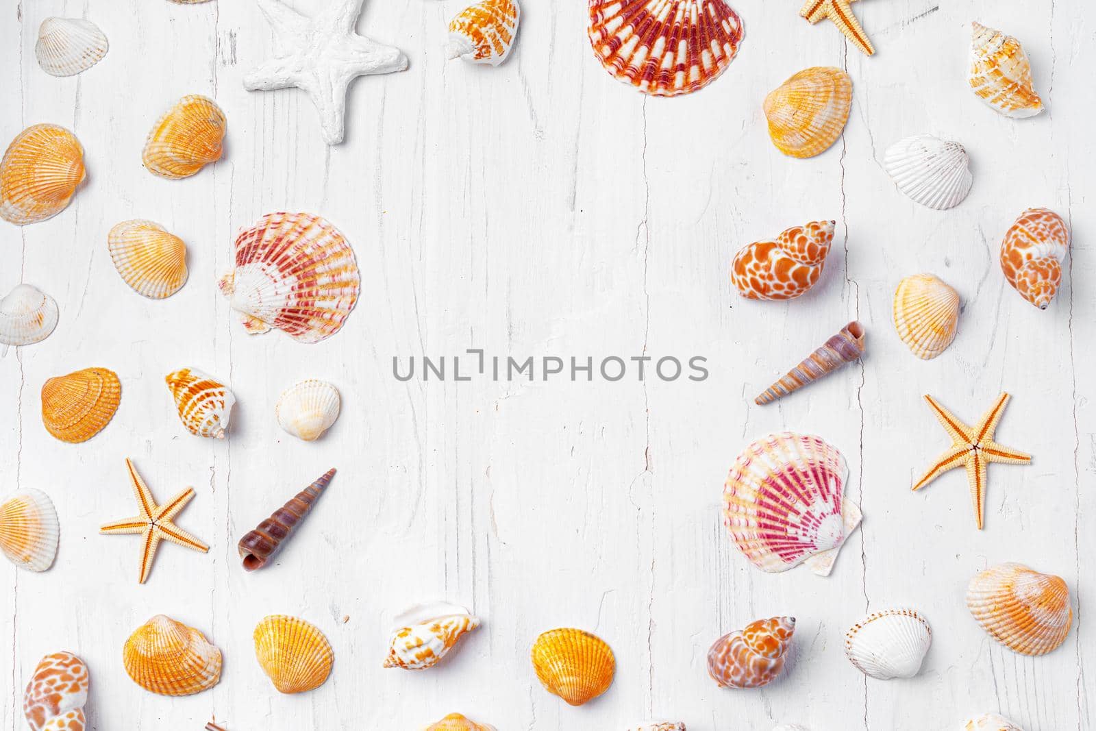 White rough wooden background with sea shells, copy space